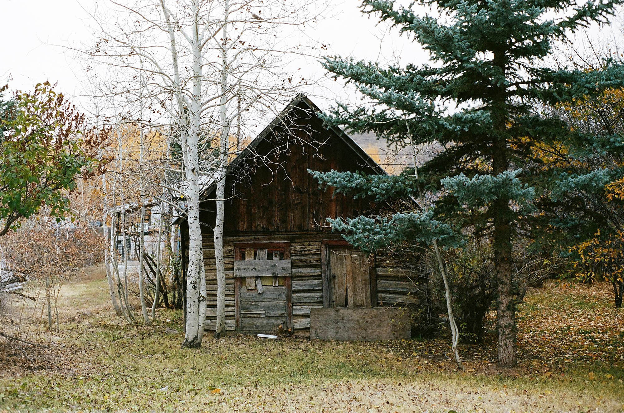 A boarded up shack in a rear yard