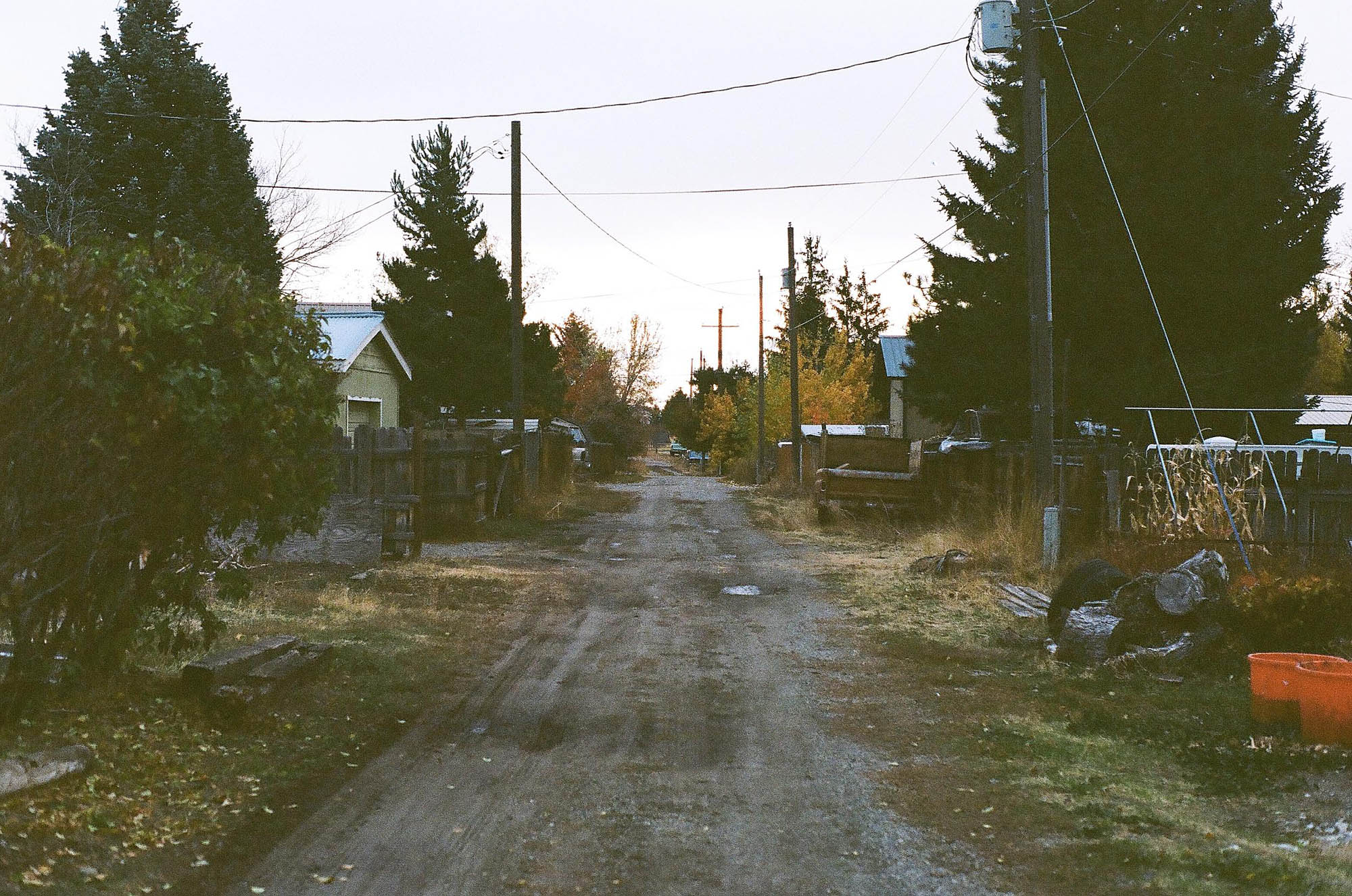 An overgrown alley