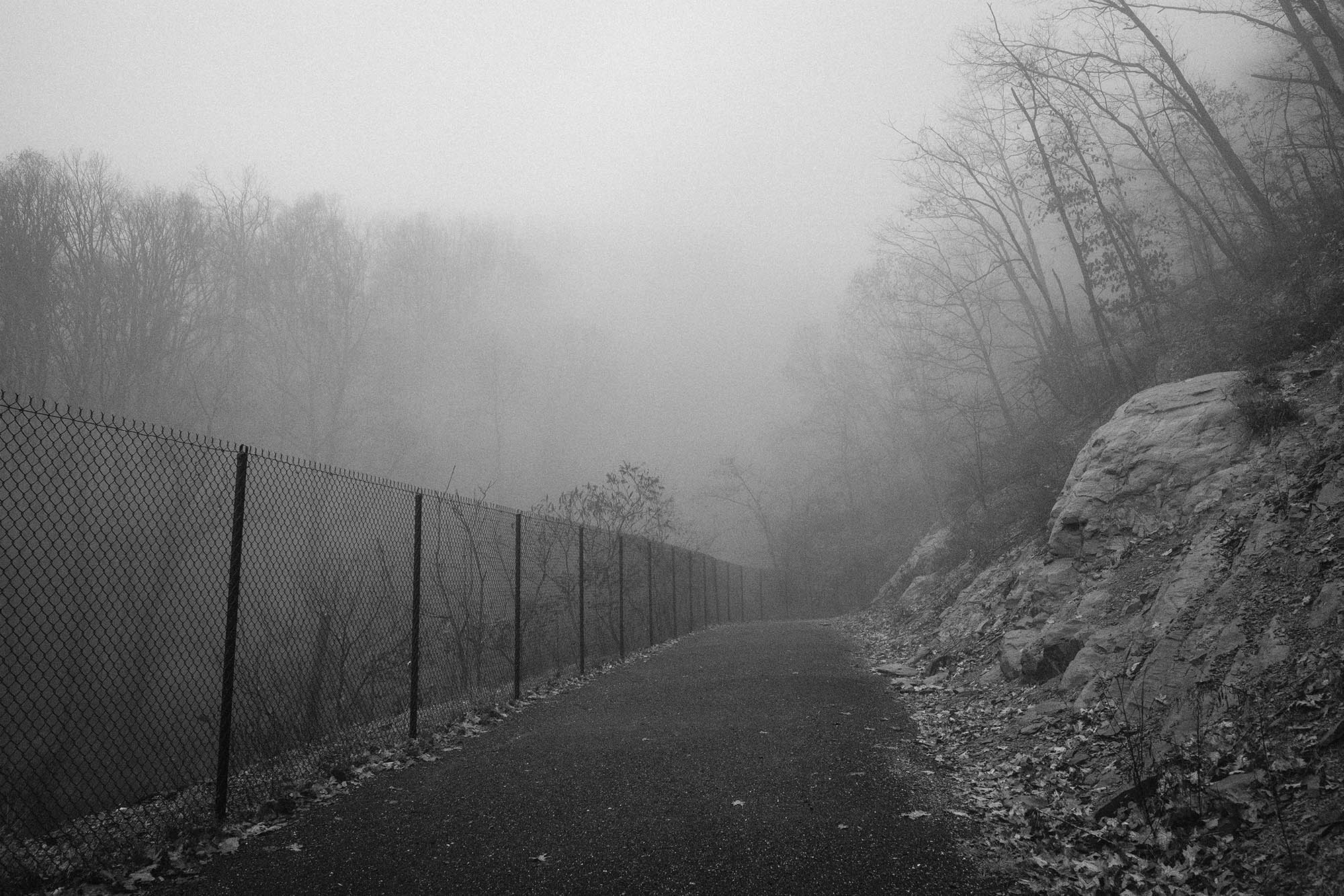 A paved pathway in dense fog