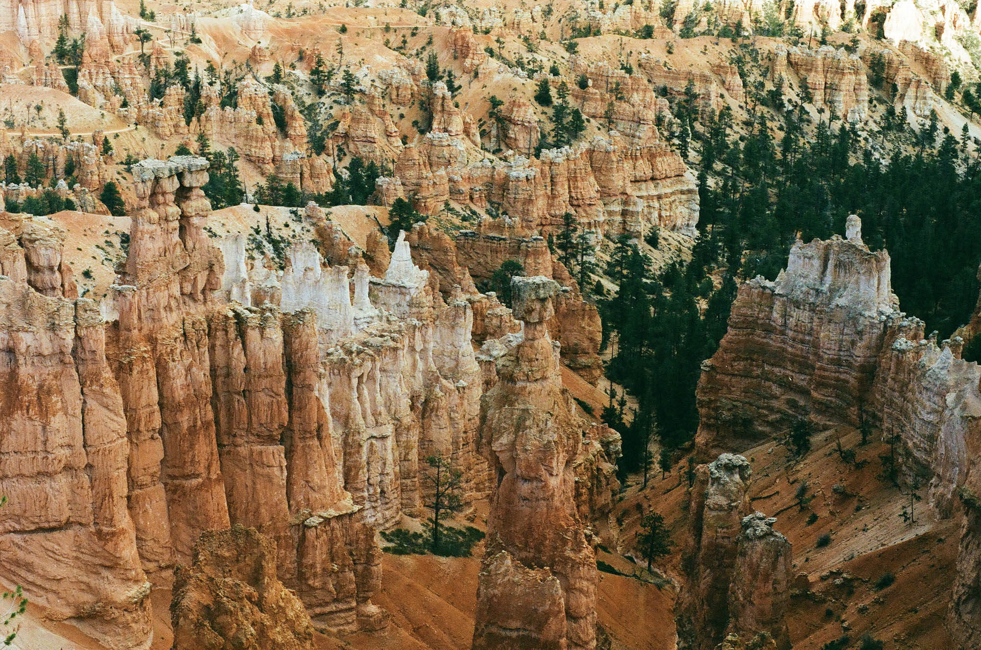 Bryce Canyon