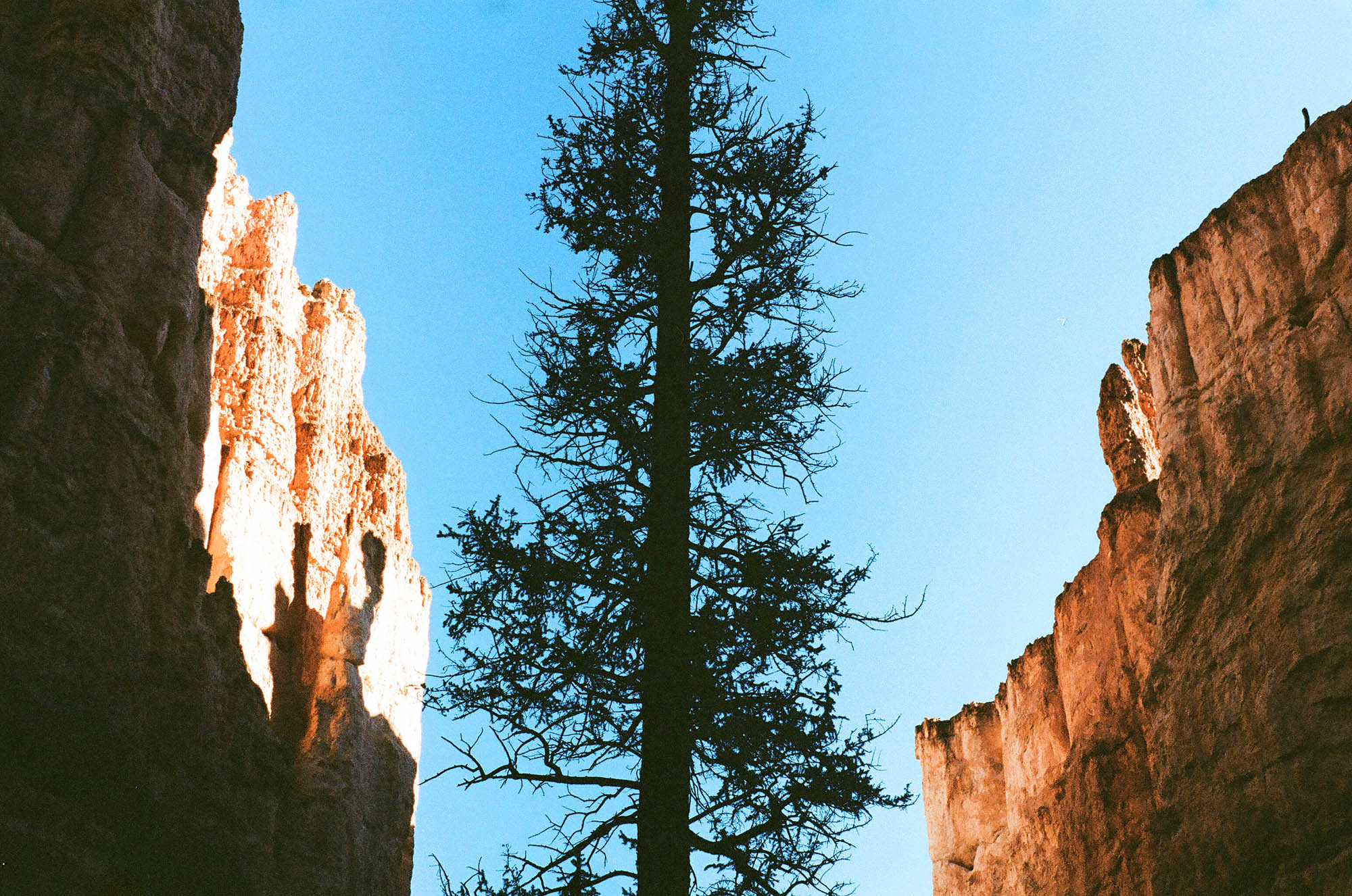 Bryce Canyon