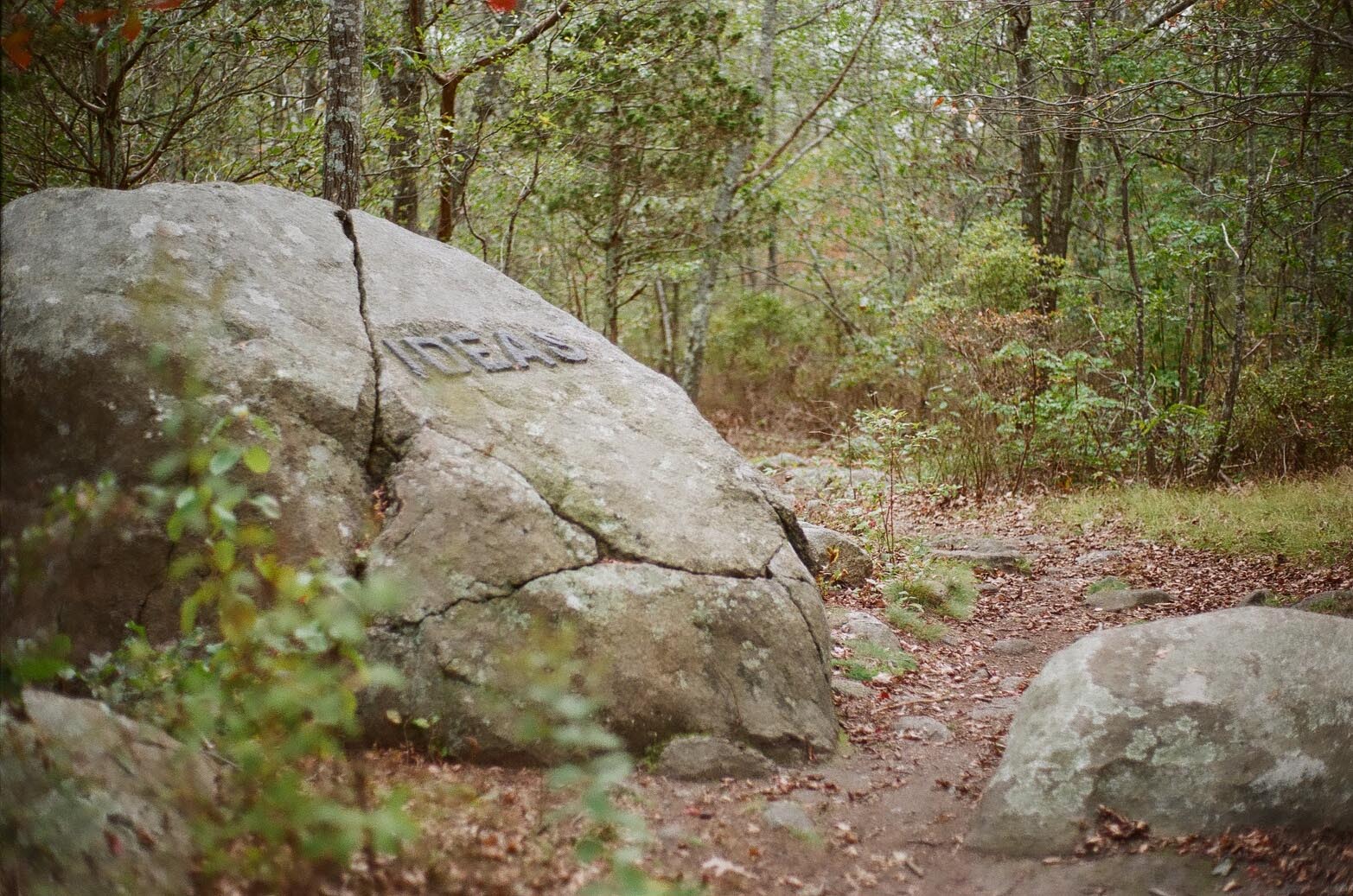 A boulder in the woods carved with the phrase: Ideas