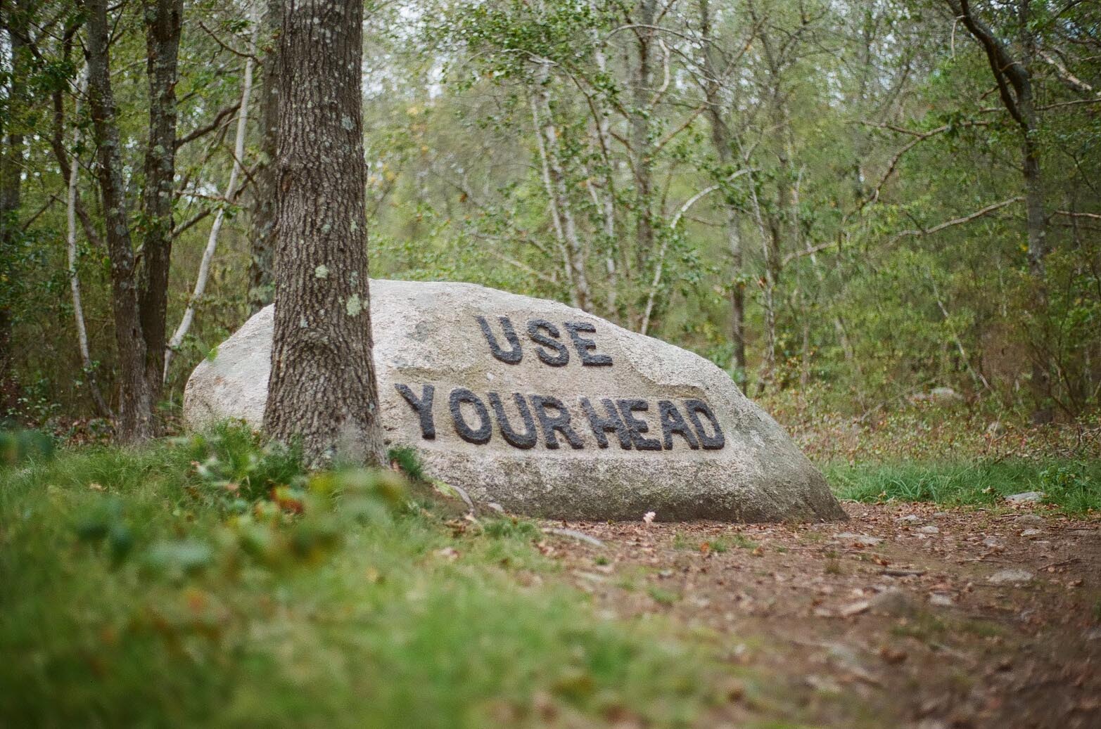 A boulder in the woods carved with the phrase: Use Your Head