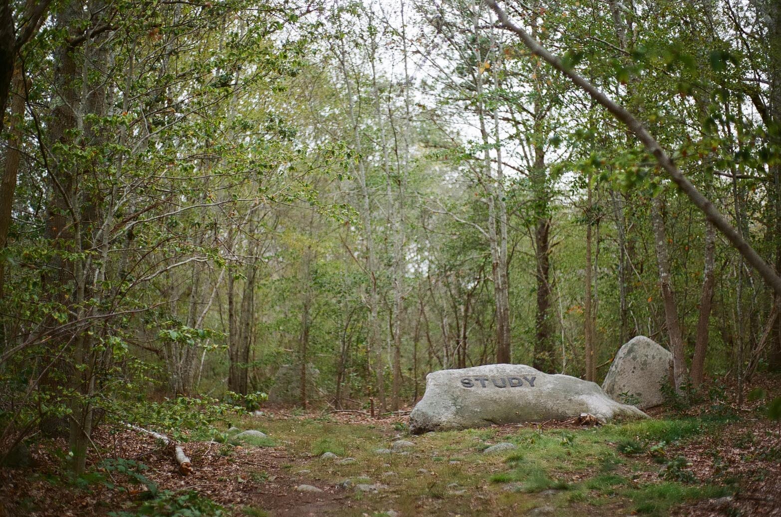 A boulder in the woods carved with the phrase: Study