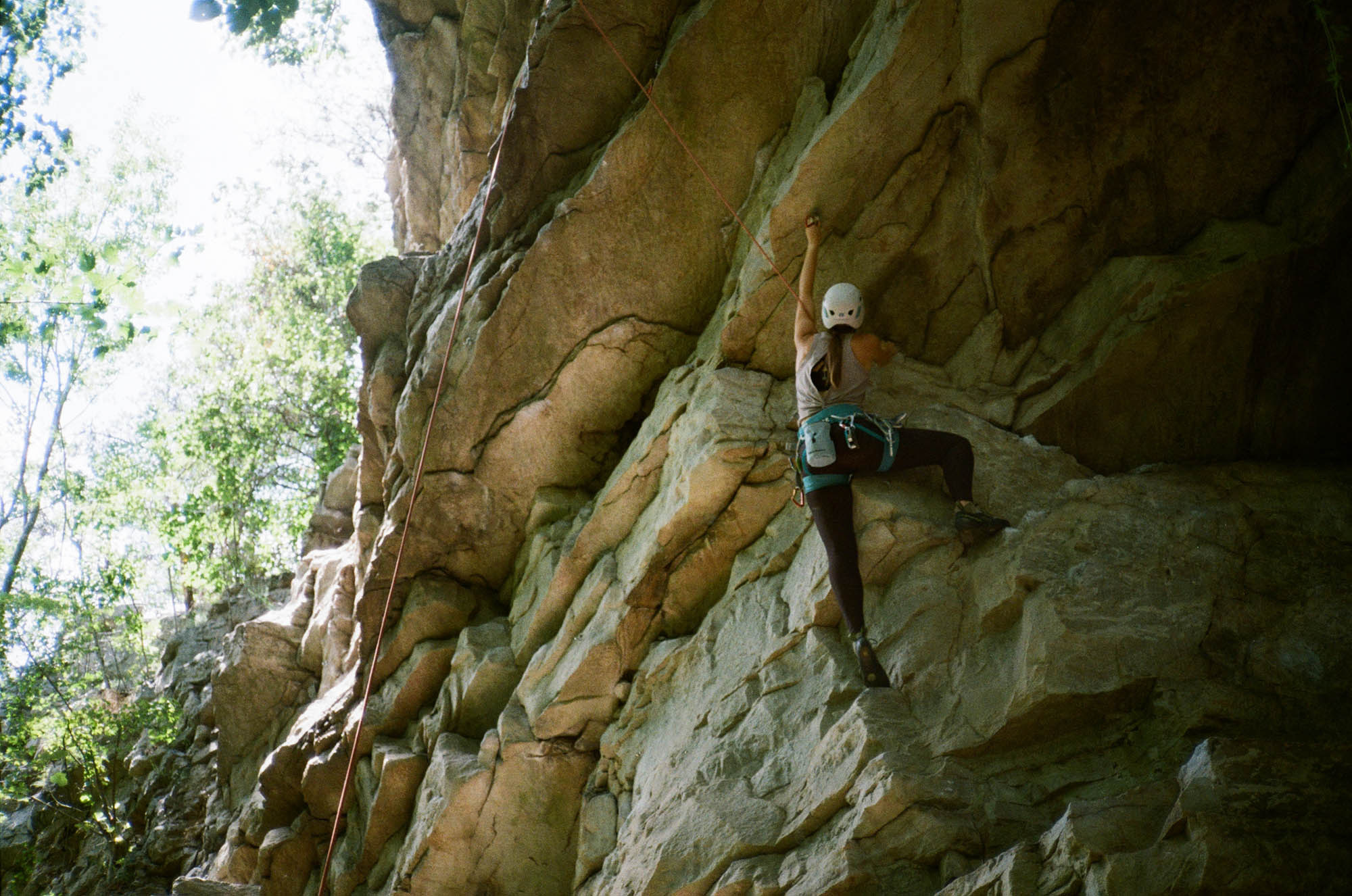 A person climbing a rock wall in the woods
