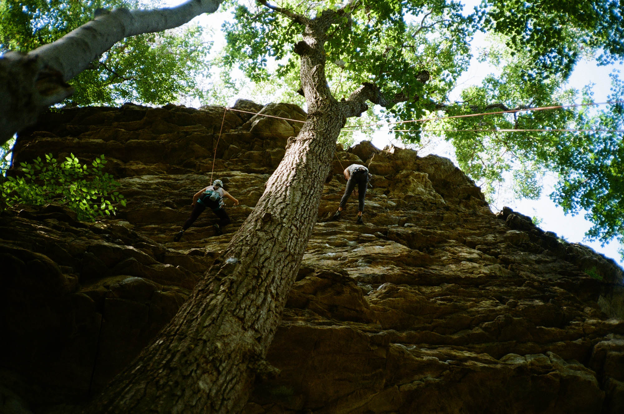 Looking up through a tree at two people climbing a rock wall
