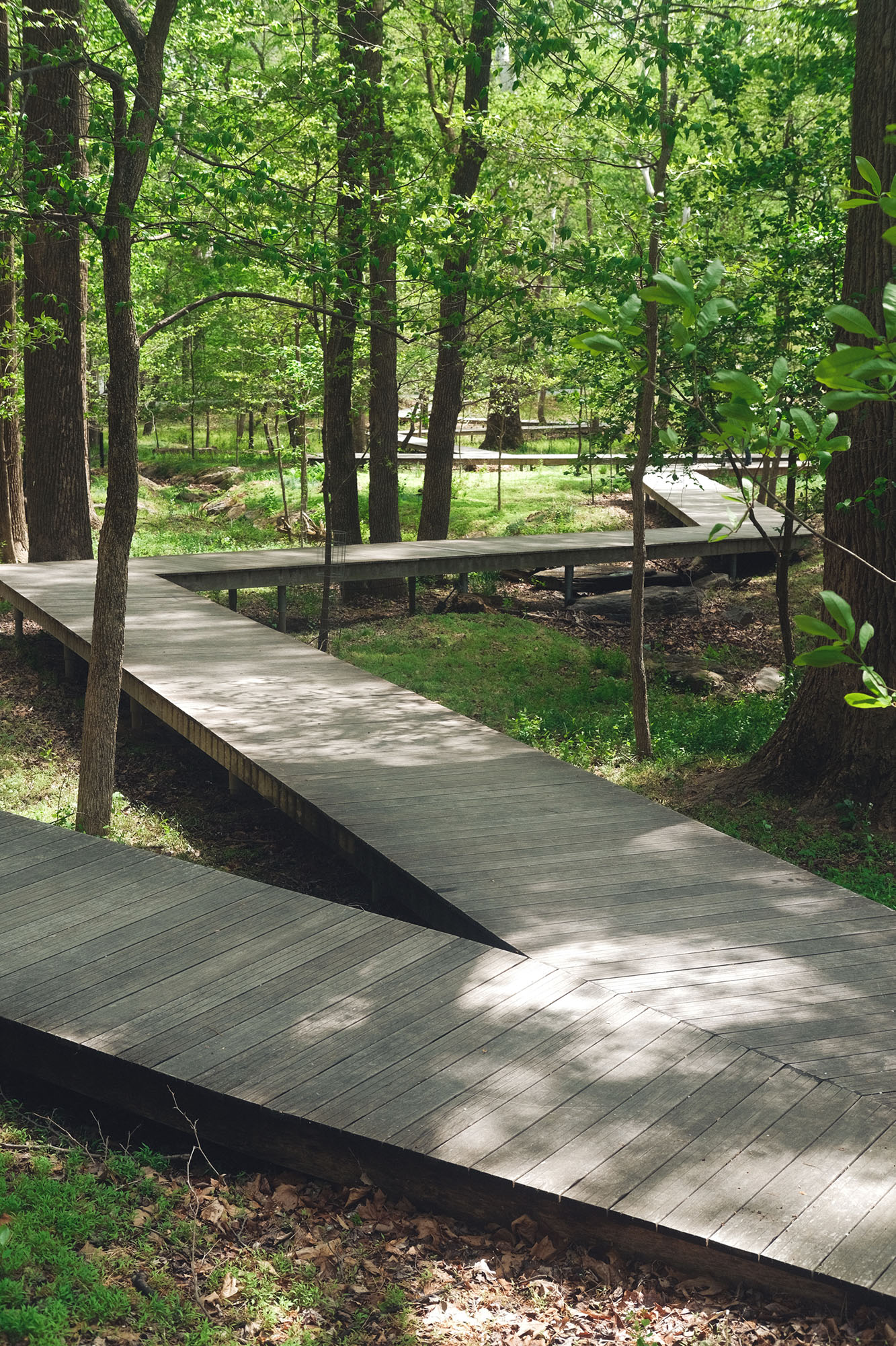 A zigzagging walkway in the woods