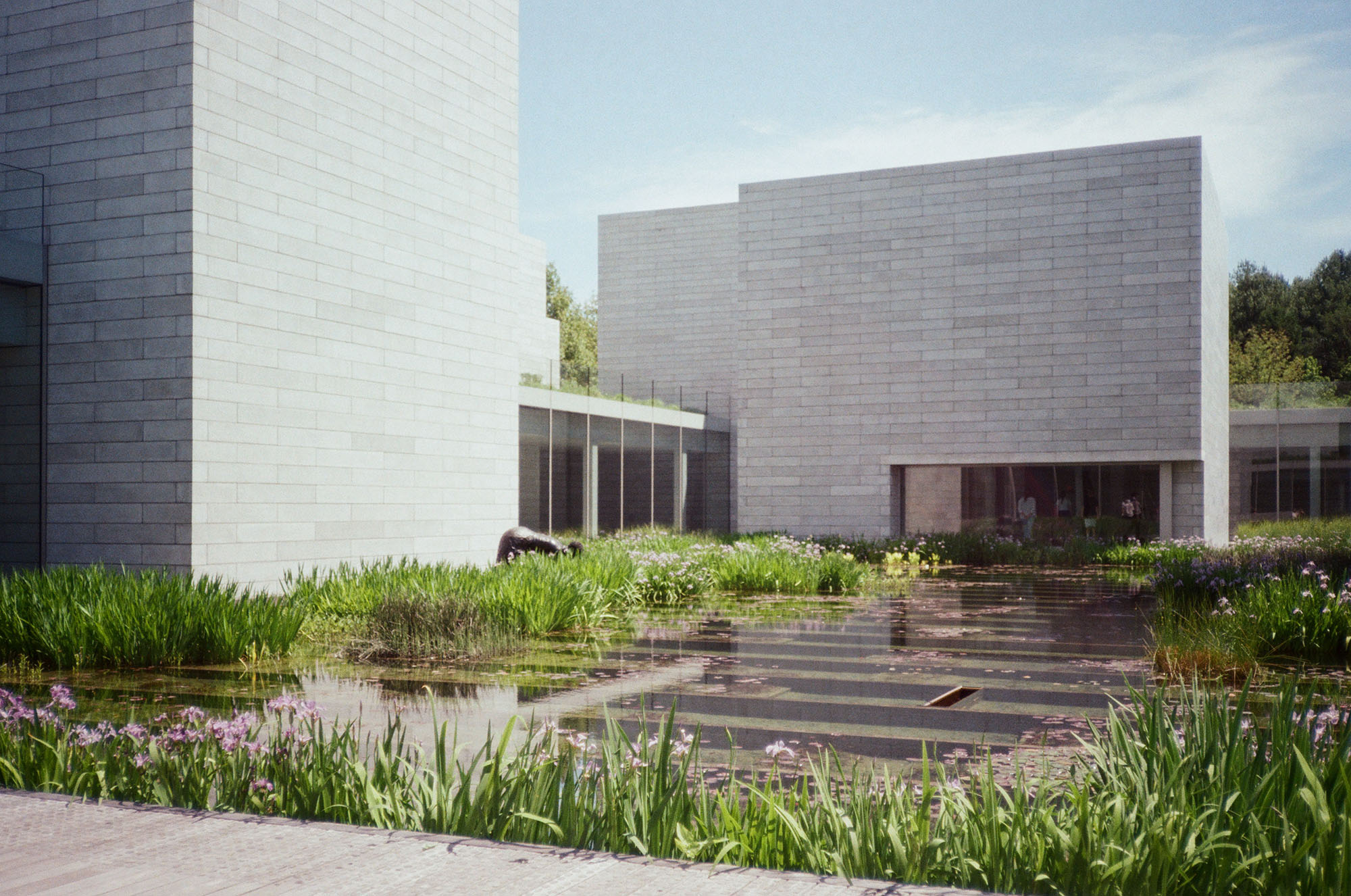 The water court
