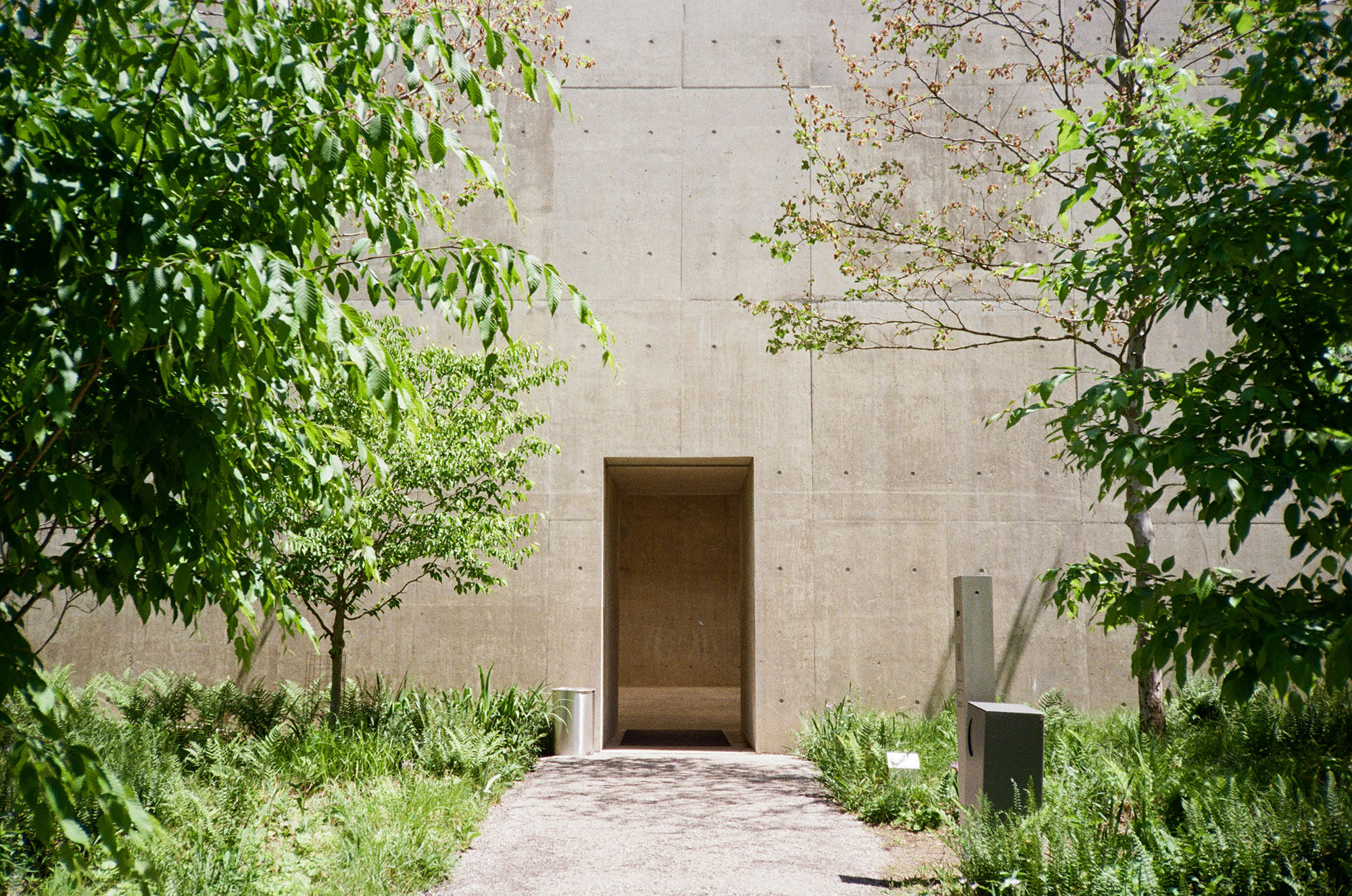 A concrete wall behind some trees with a rectangular concrete opening in it
