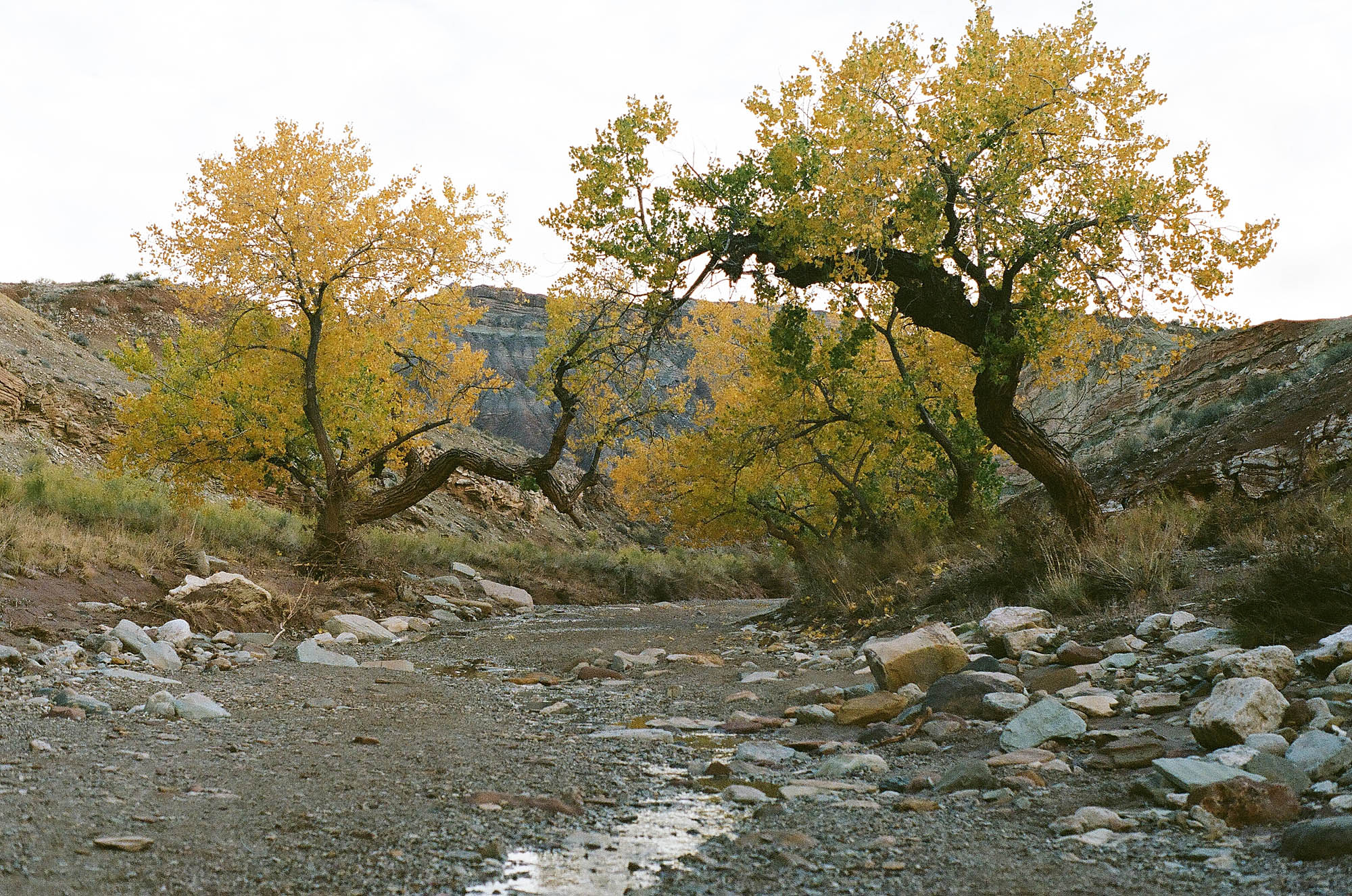 Dry riverbed