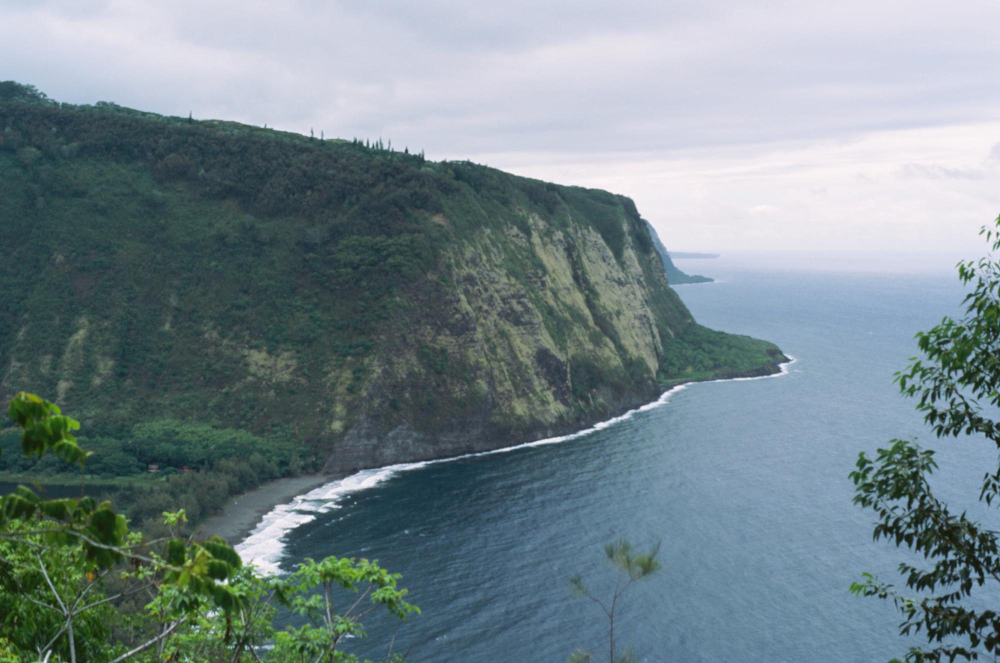 The cliffs at Waipio Valley meeting the ocean