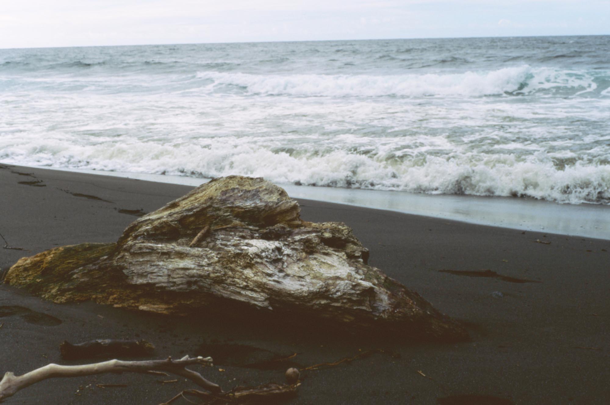 A large hunk of driftwood on a black sand beach