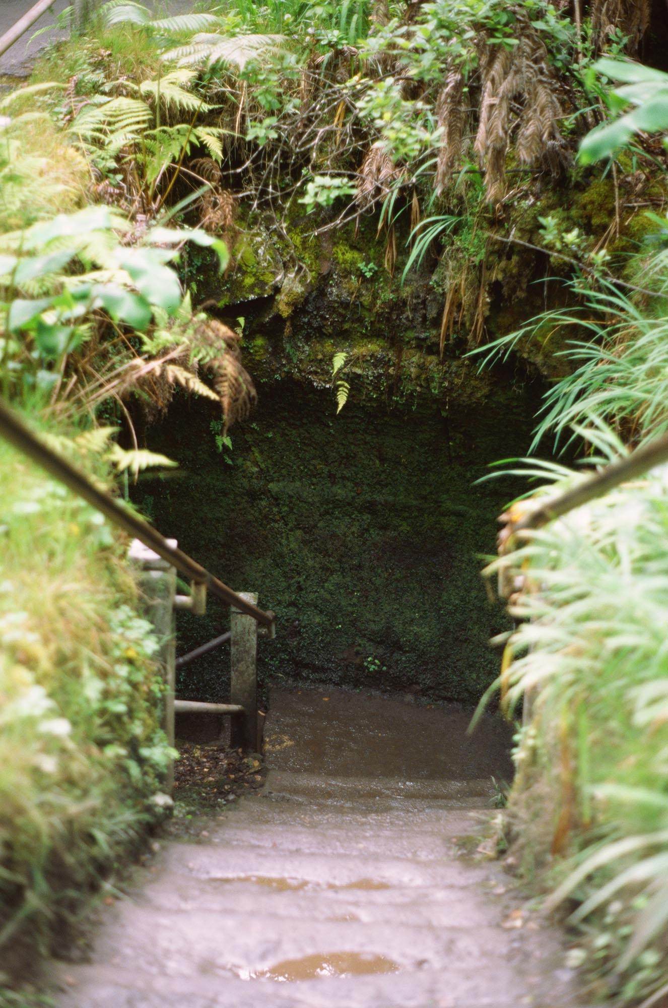 The entrance to a lava tube