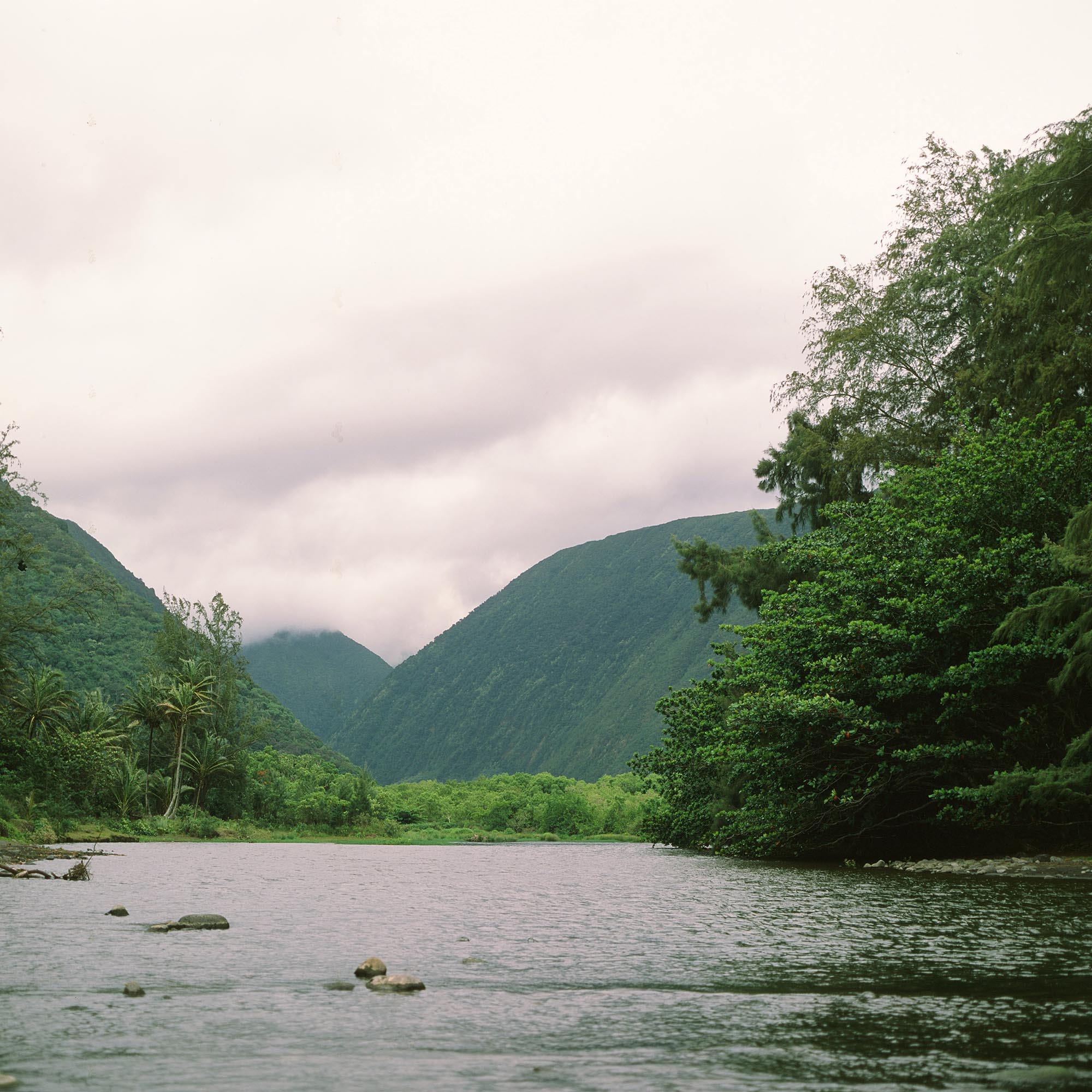 Waipio valley