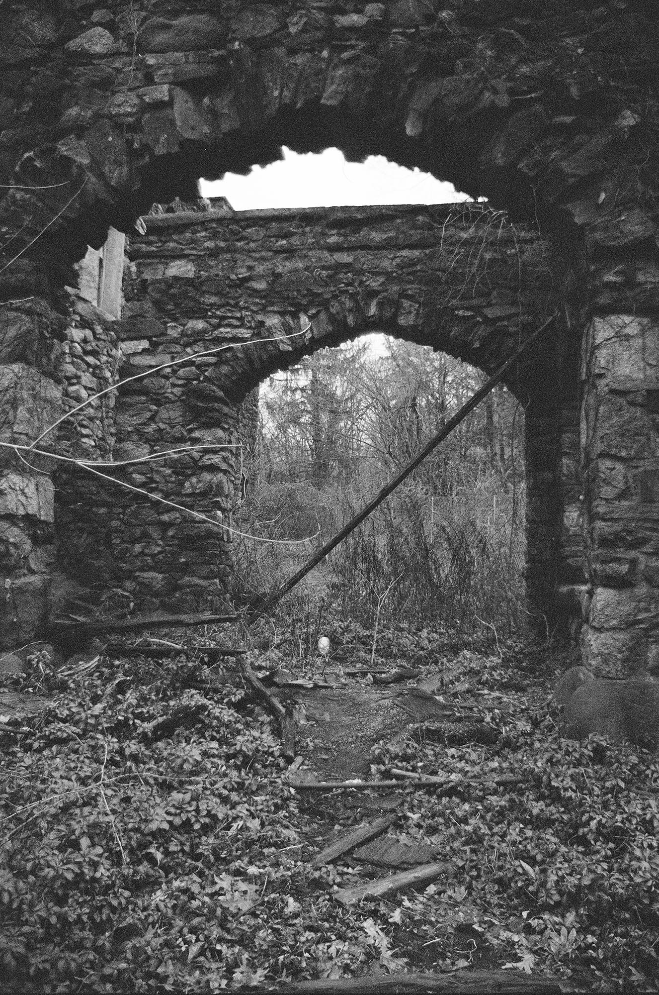 Details of an abandoned stone castle in the woods