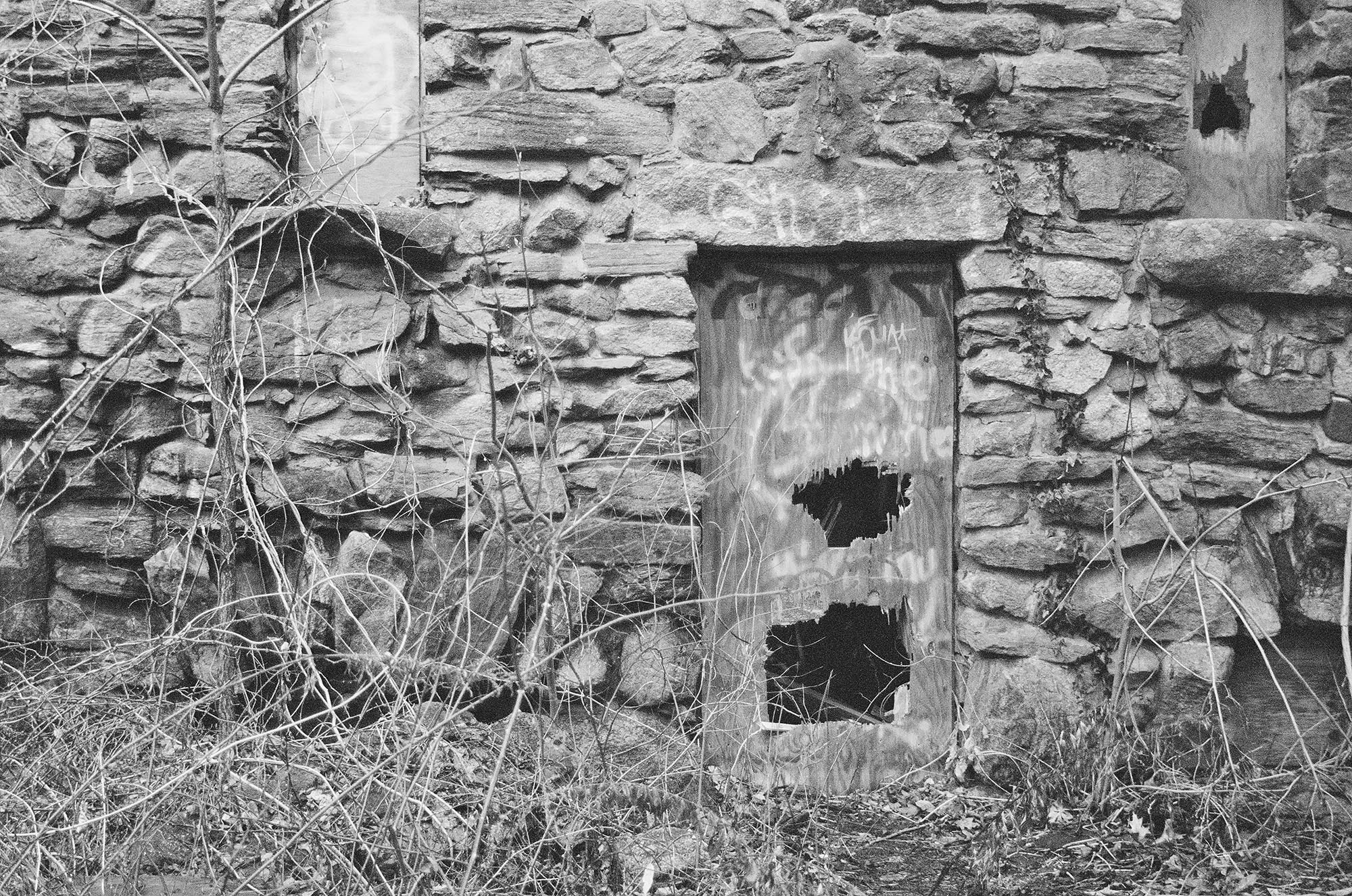 Details of an abandoned stone castle in the woods