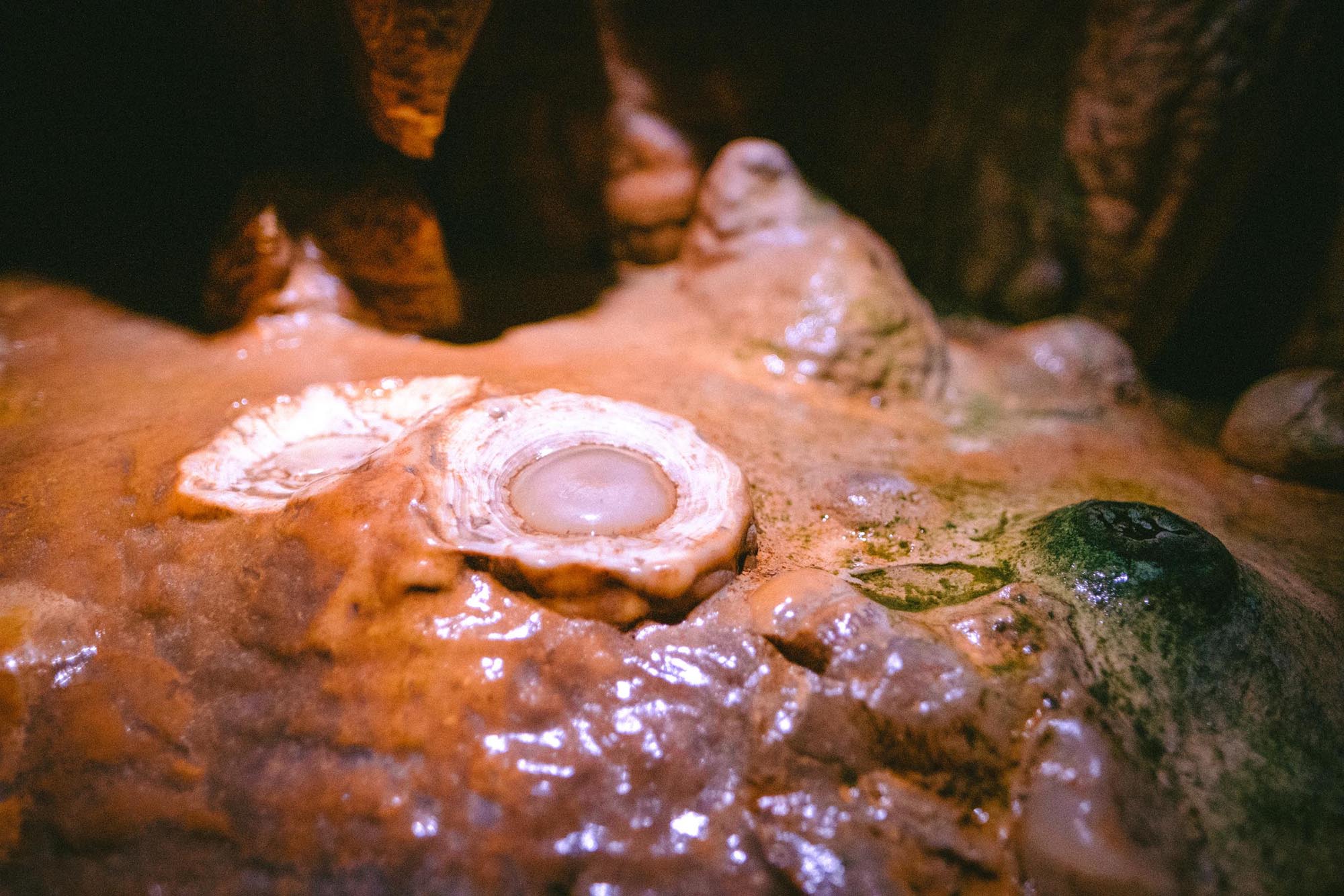 Luray caverns