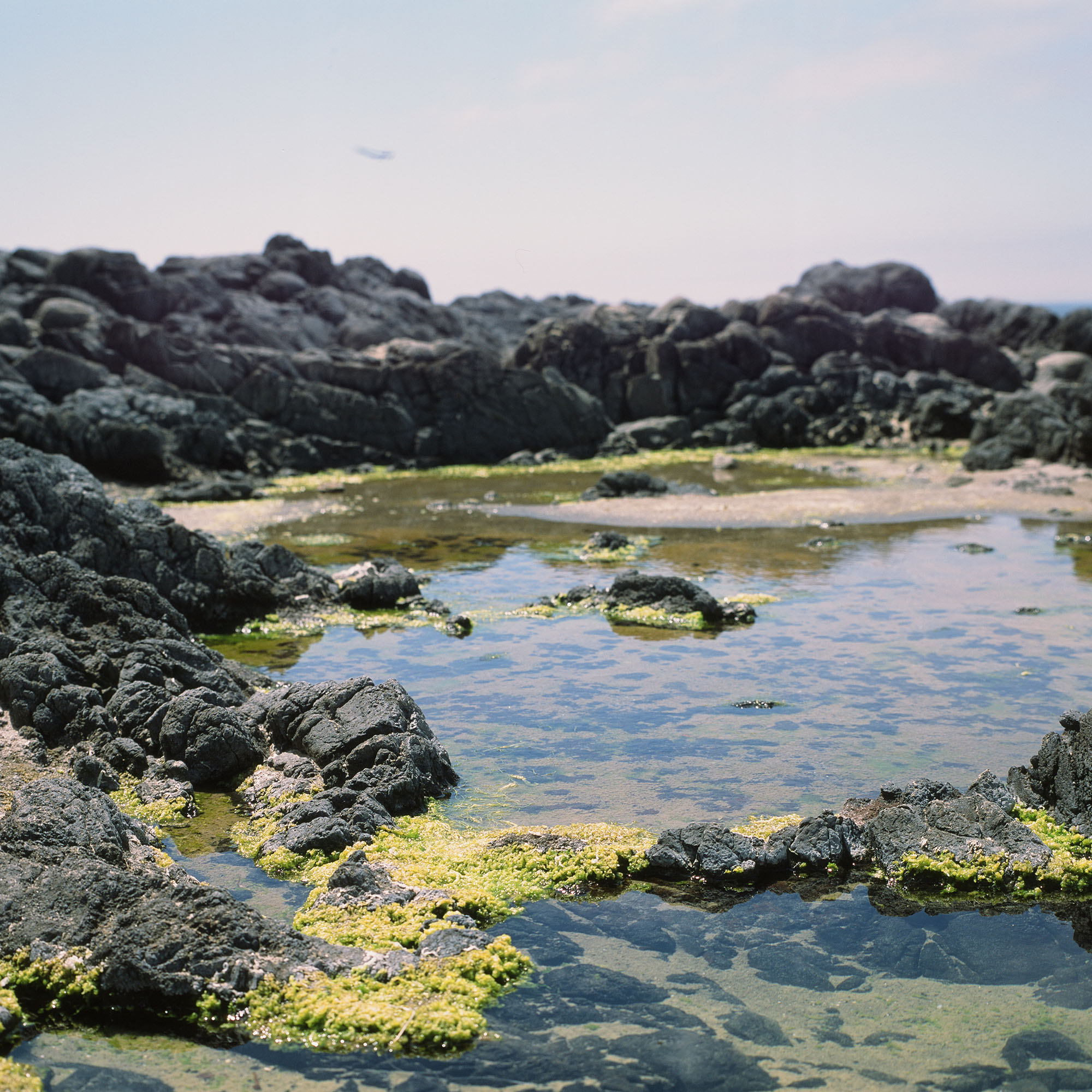 Tide pools