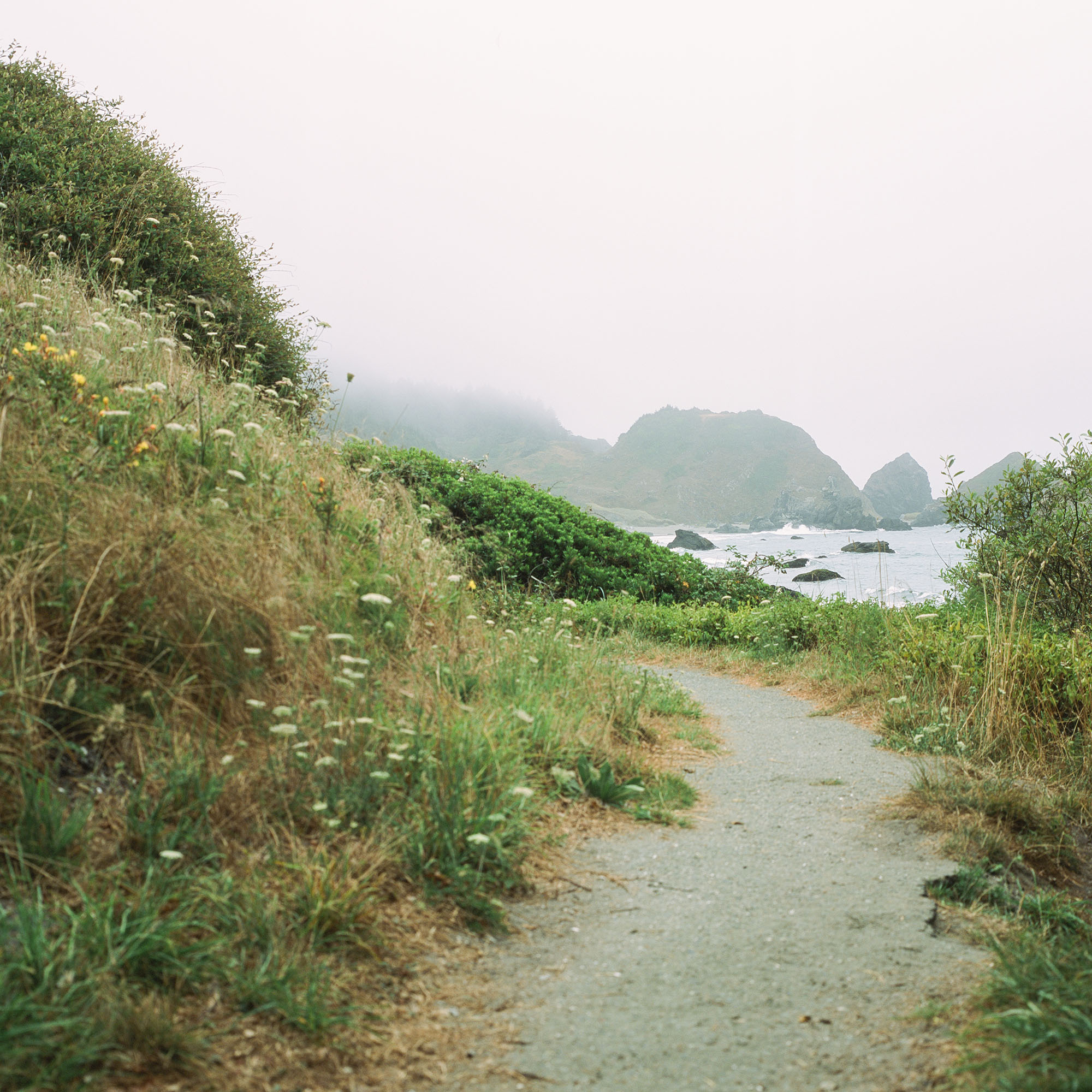 Foggy beachside pathway
