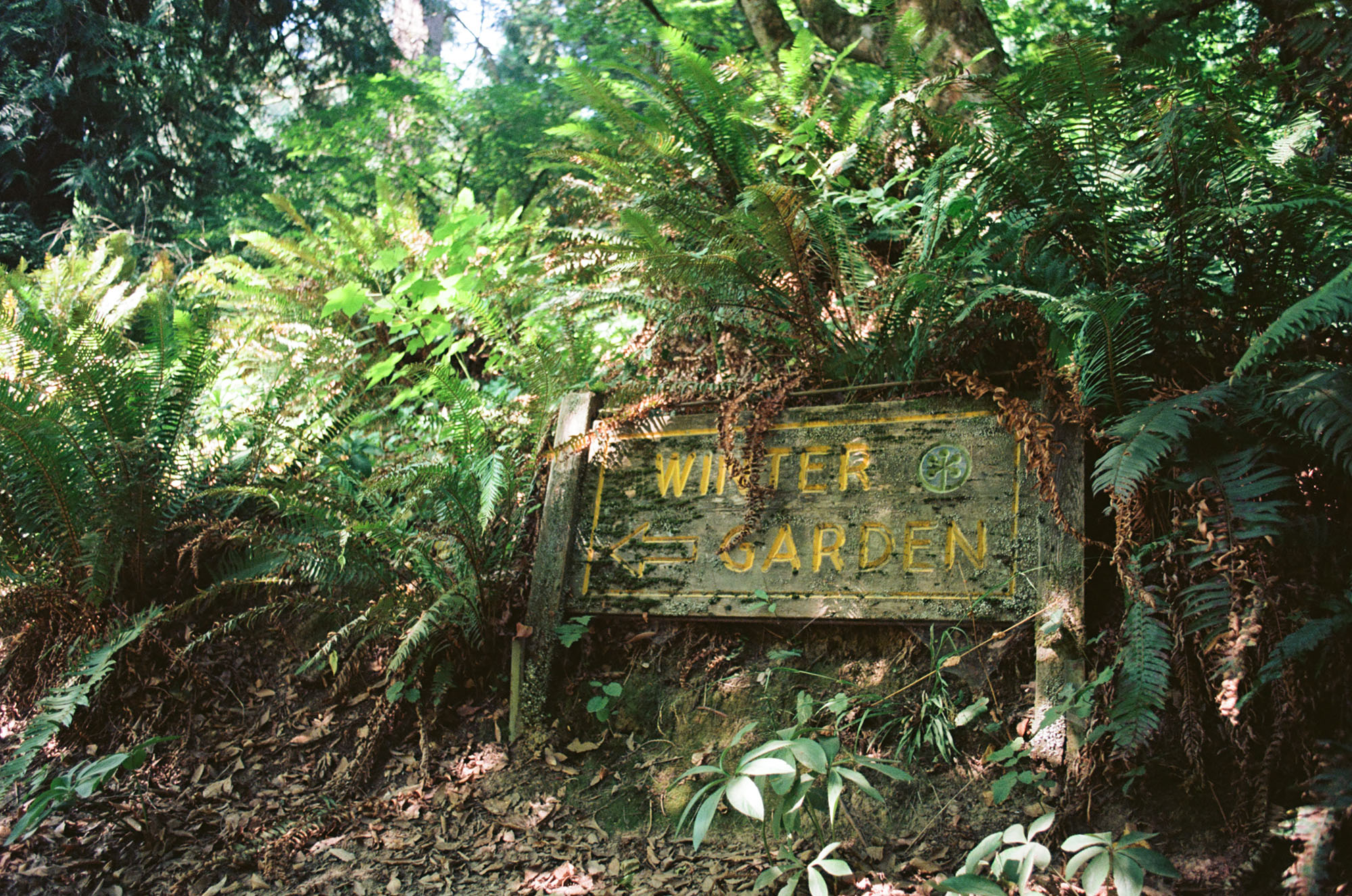 An overgrown wood sign saying Winter Garden