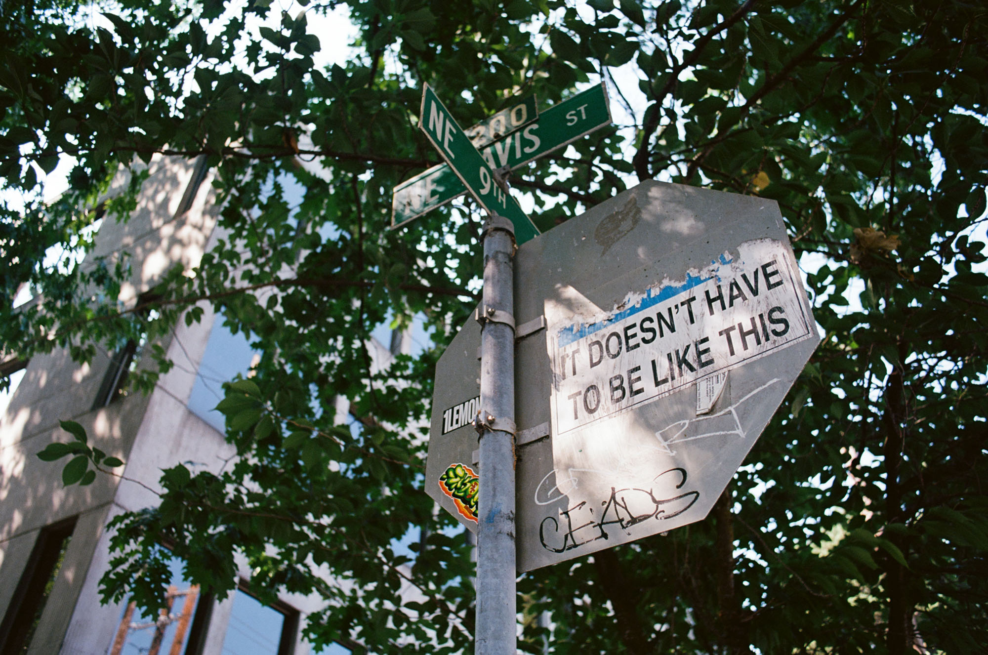 The rear of a stop sign with a bumper sticker saying It Doesn't Have To Be Like This