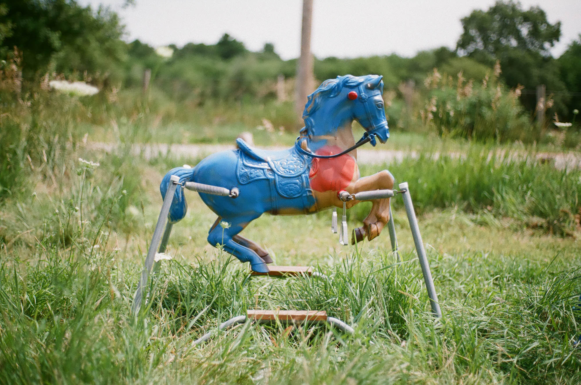 Rocking horses in a field