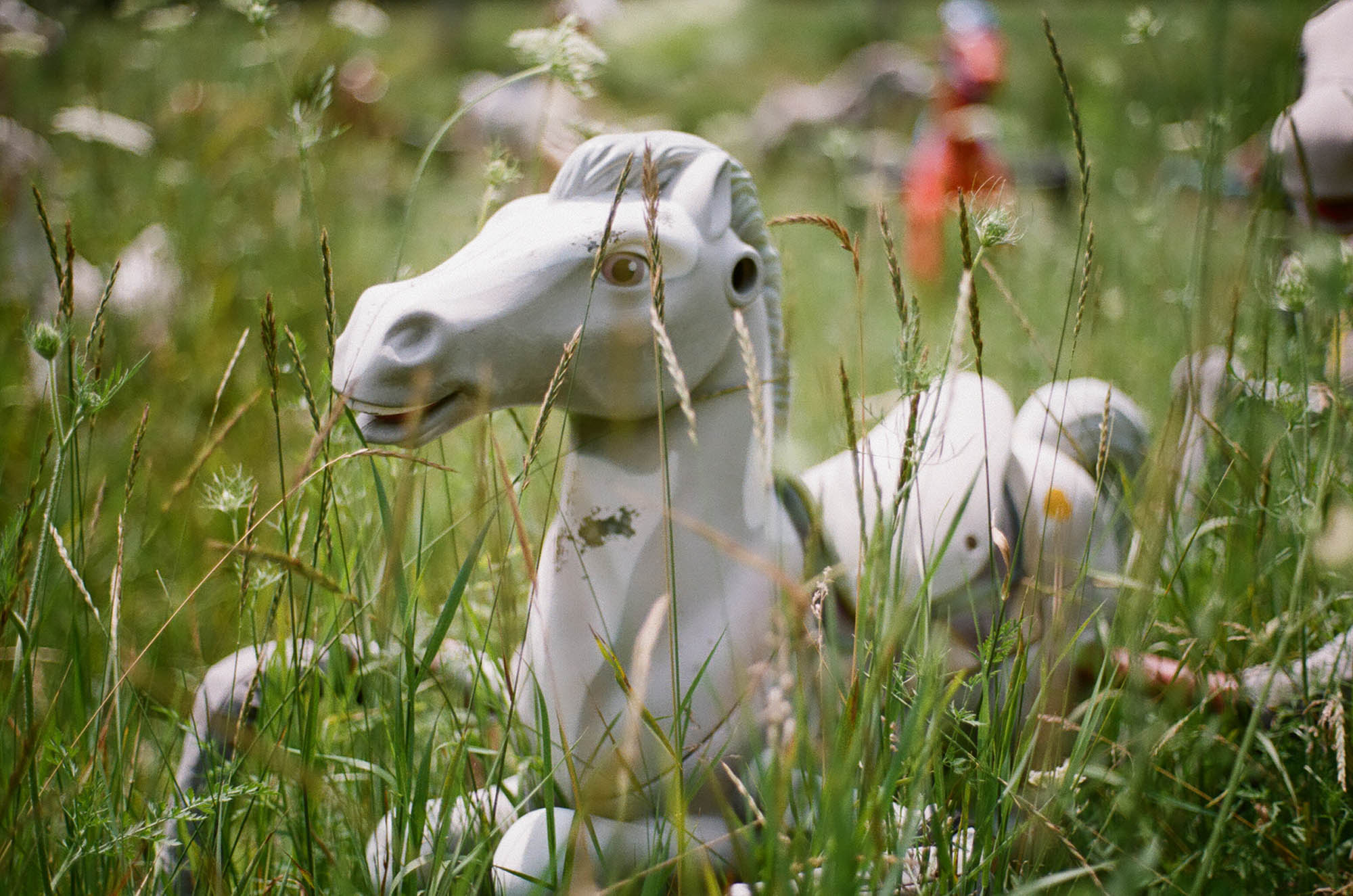 Rocking horses in a field