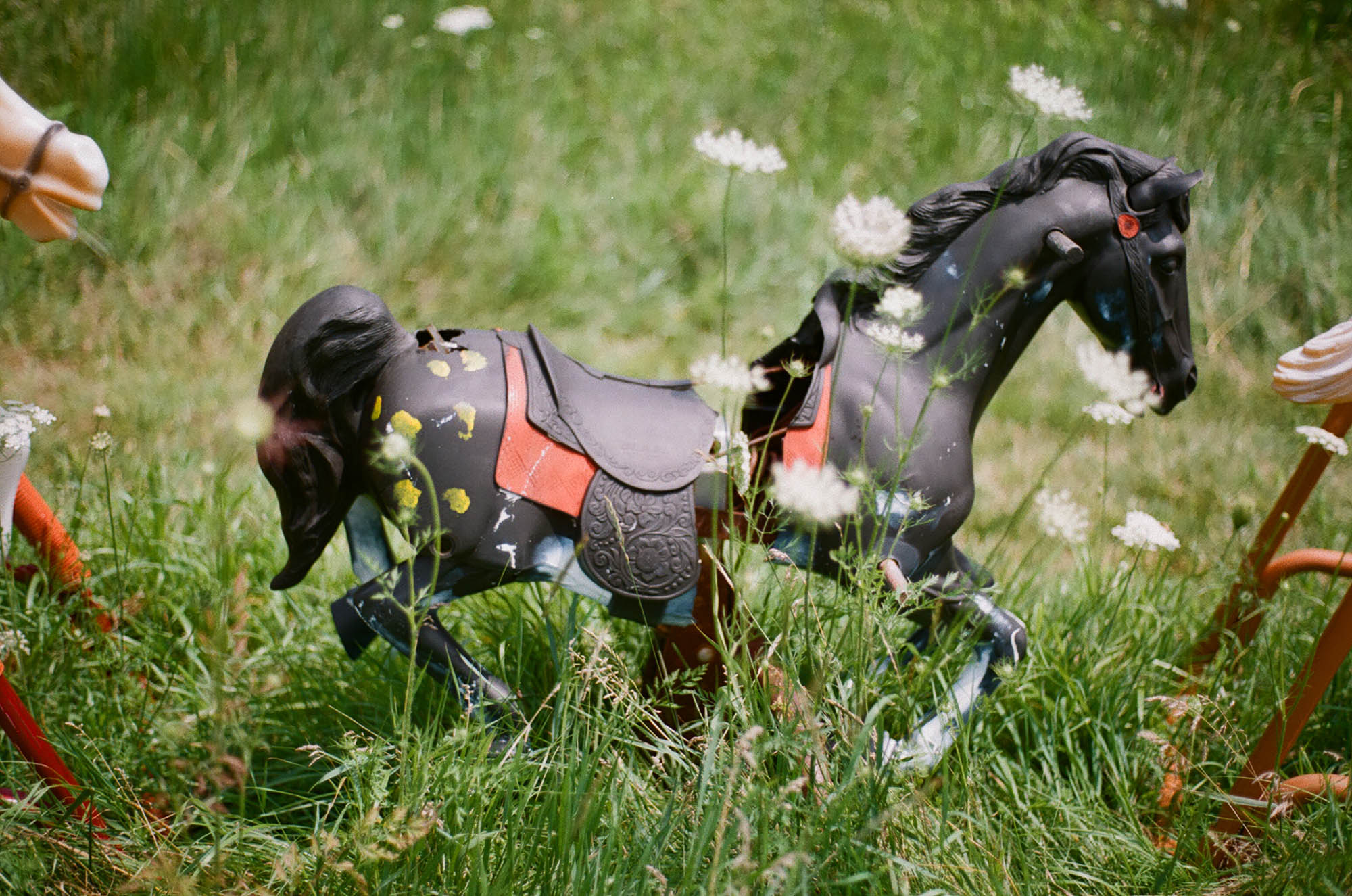 Rocking horses in a field