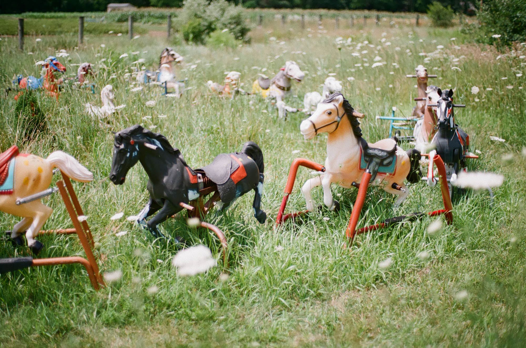 Rocking horses in a field