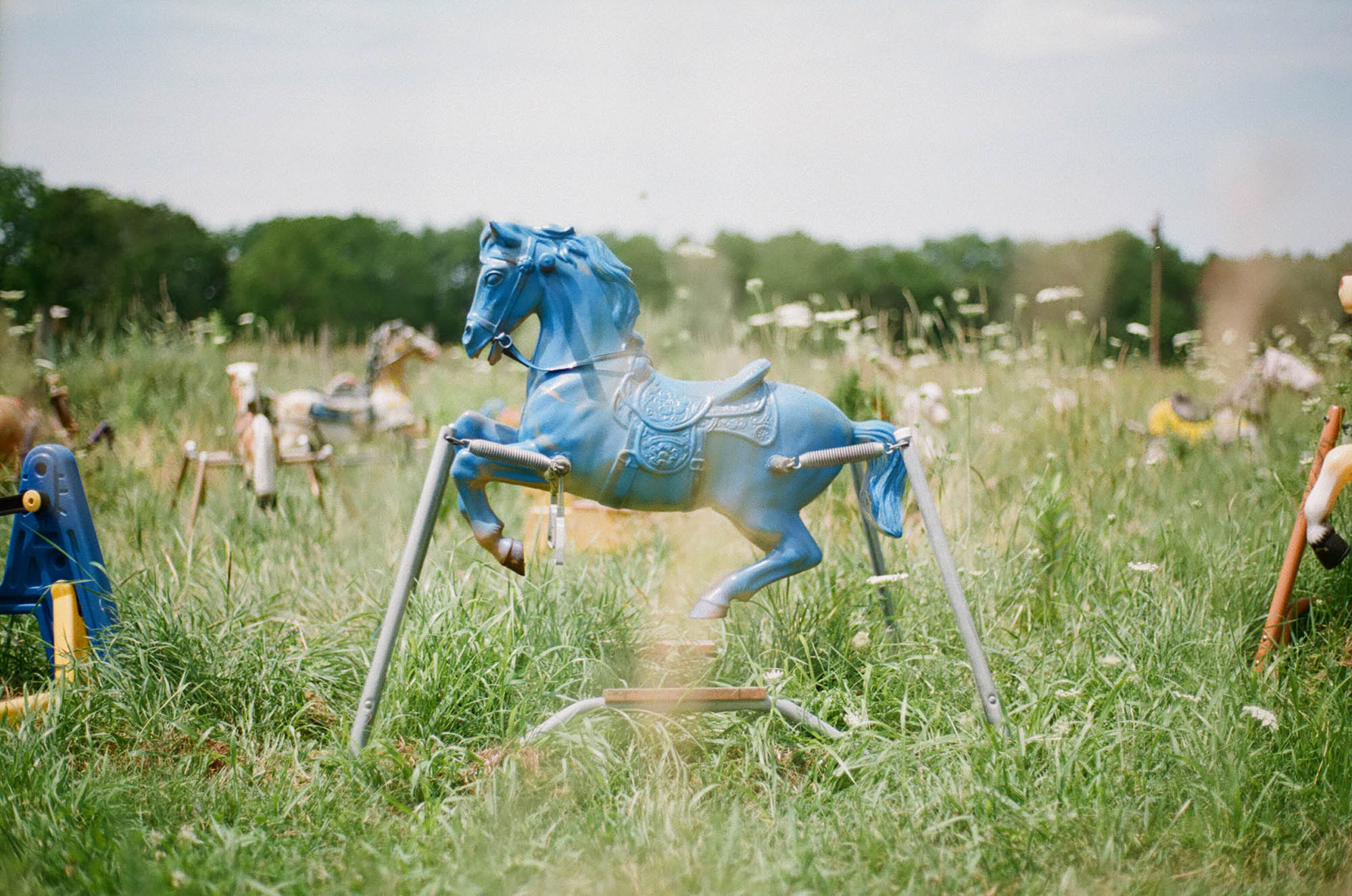 Rocking horses in a field