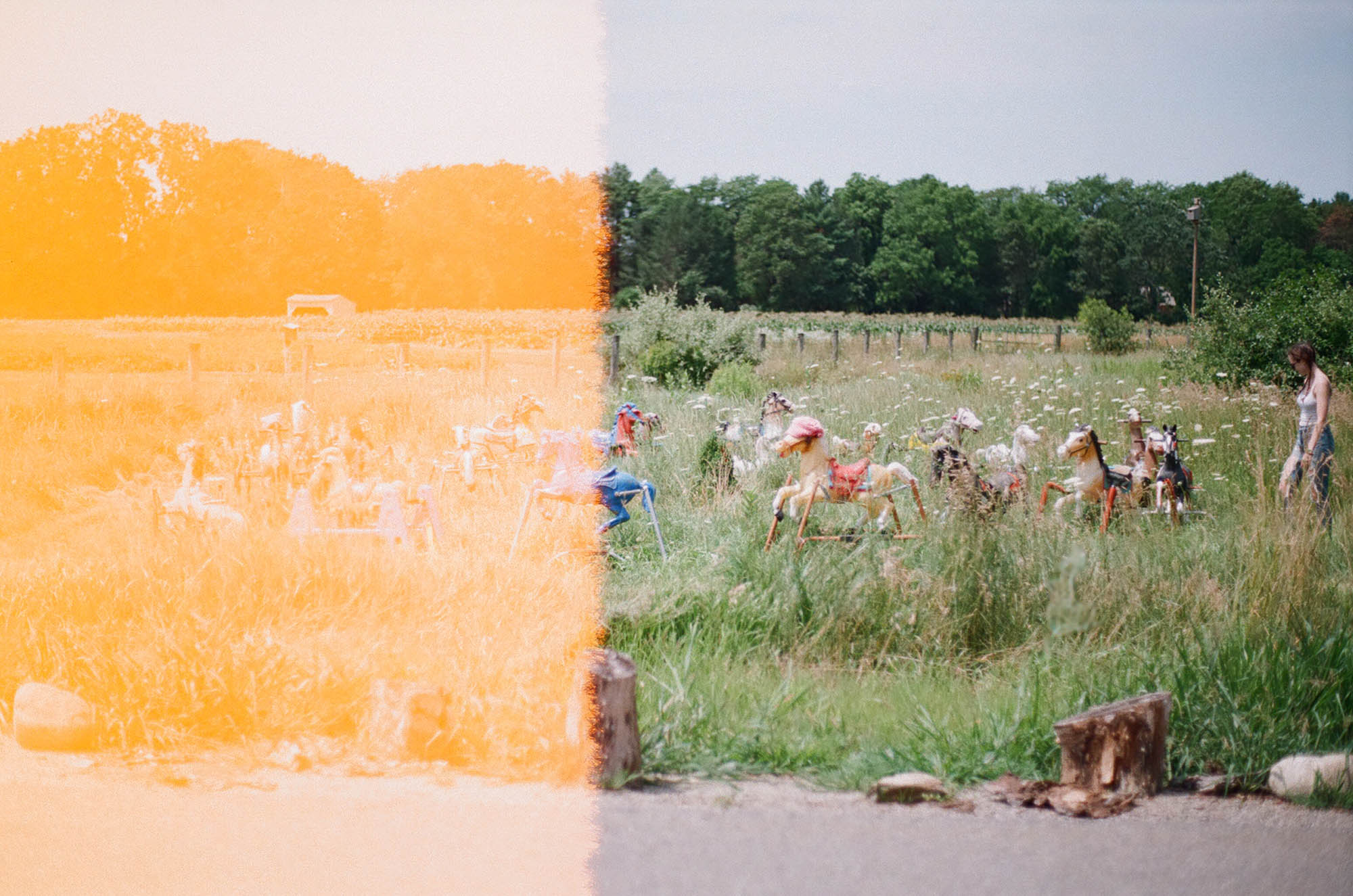 Rocking horses in a field