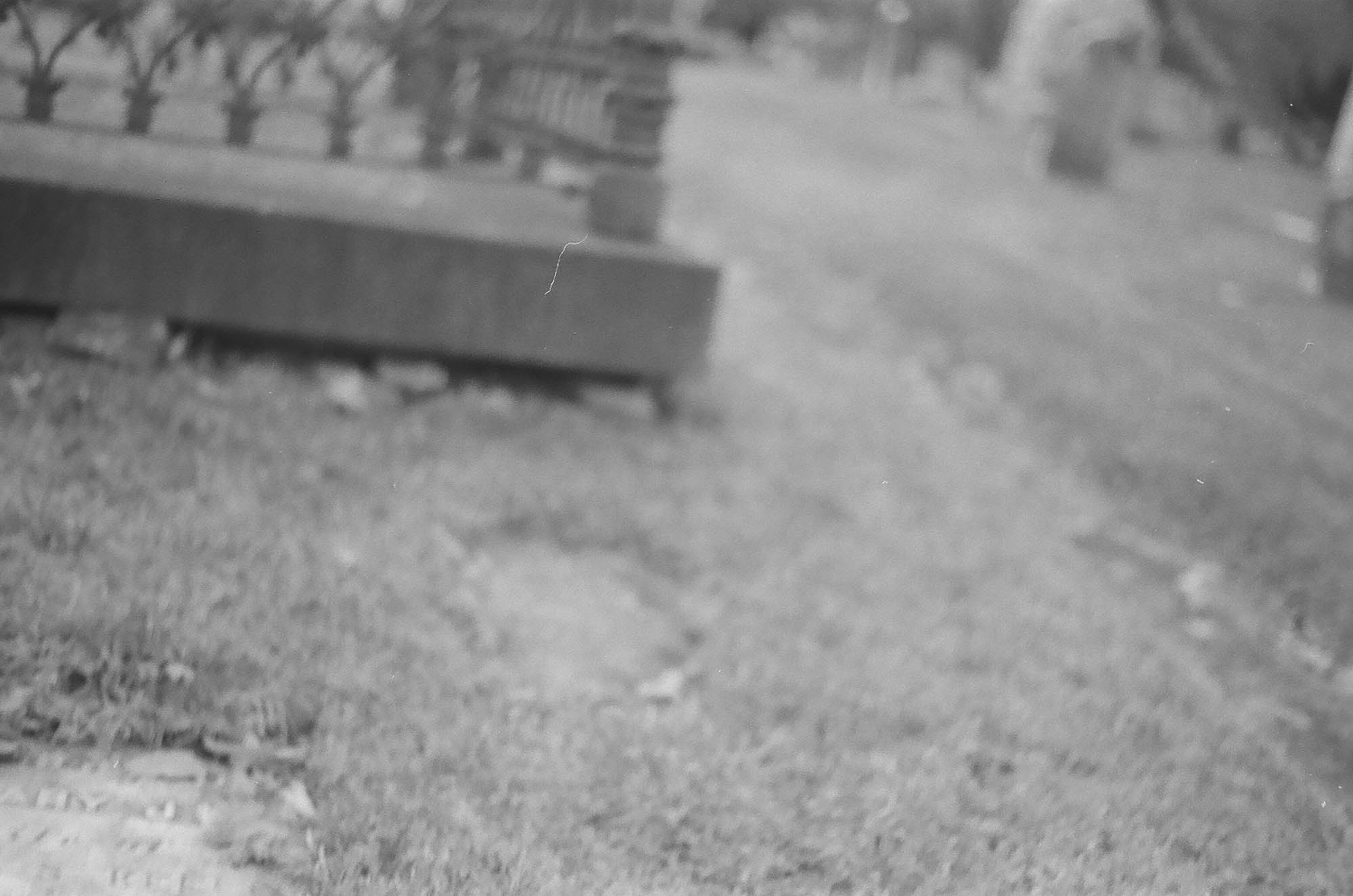 Grass and part of a fence in a graveyard, blurry and out of focus