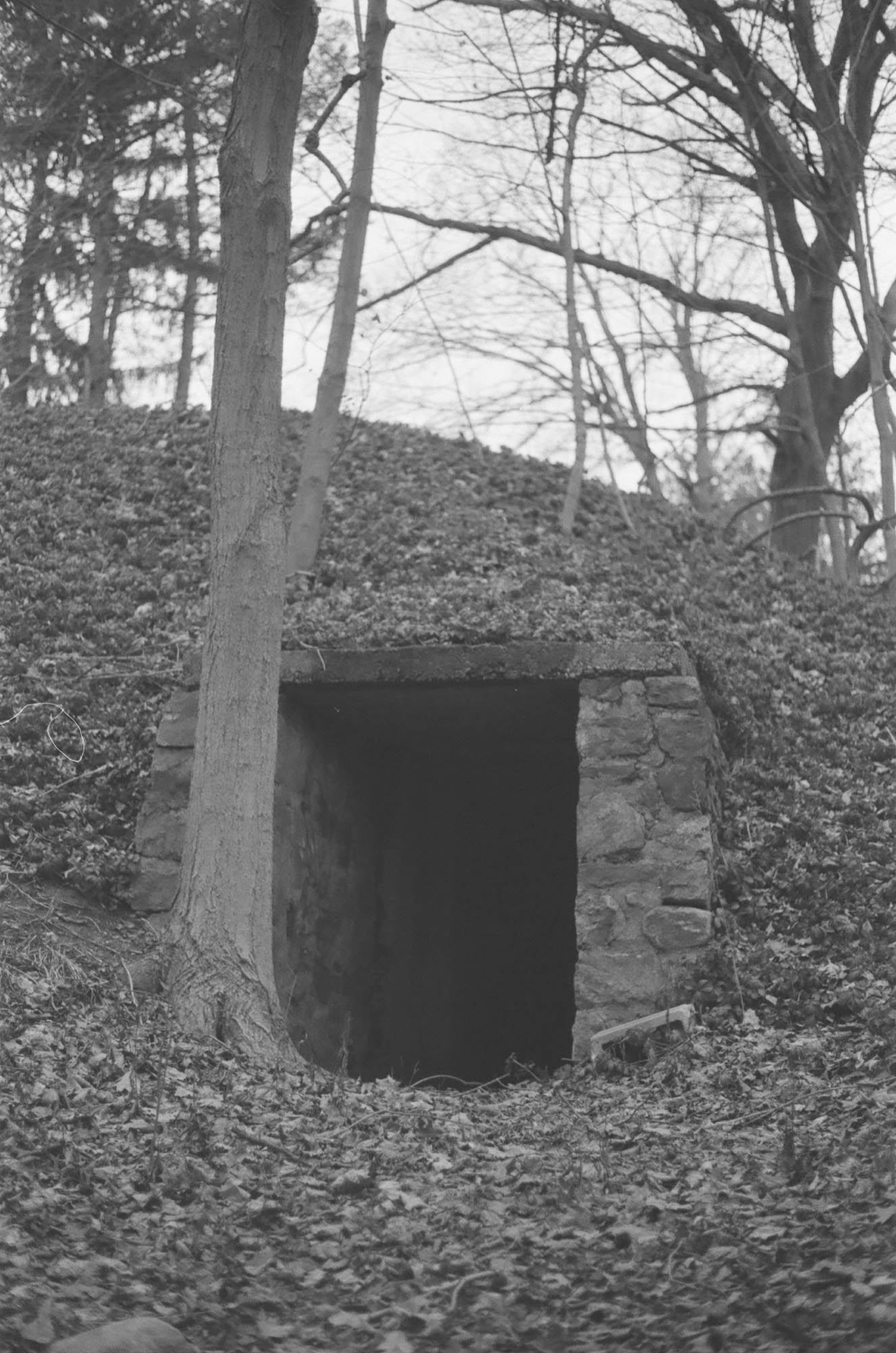 An open concrete storage bunker buried in a hillside in the woods