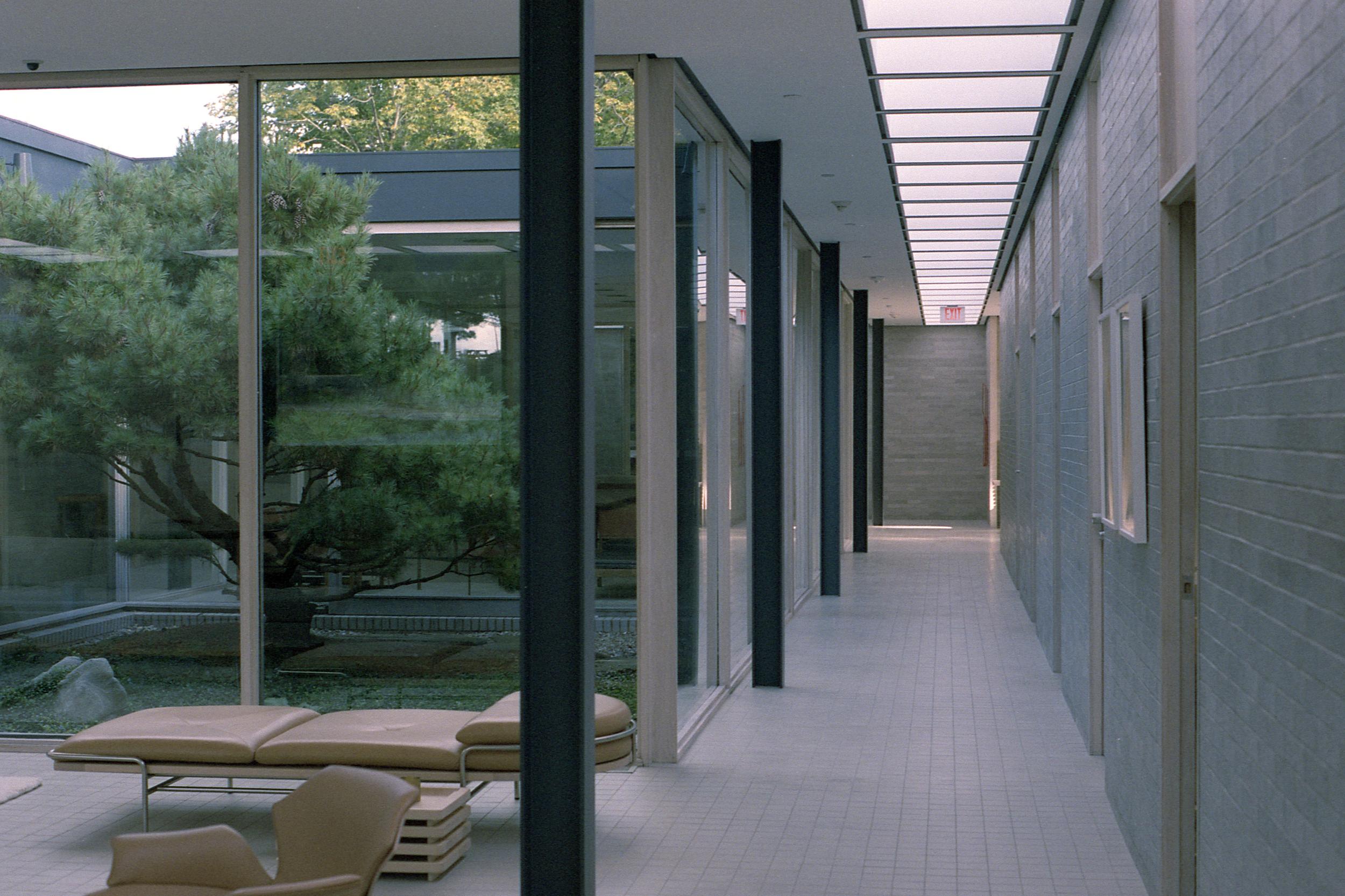 Looking down a hallway with a view into the courtyard with a tree