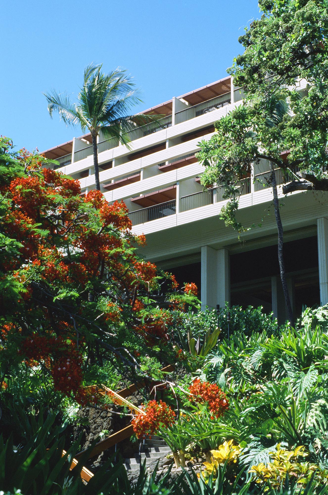 The building exterior through lush greenery