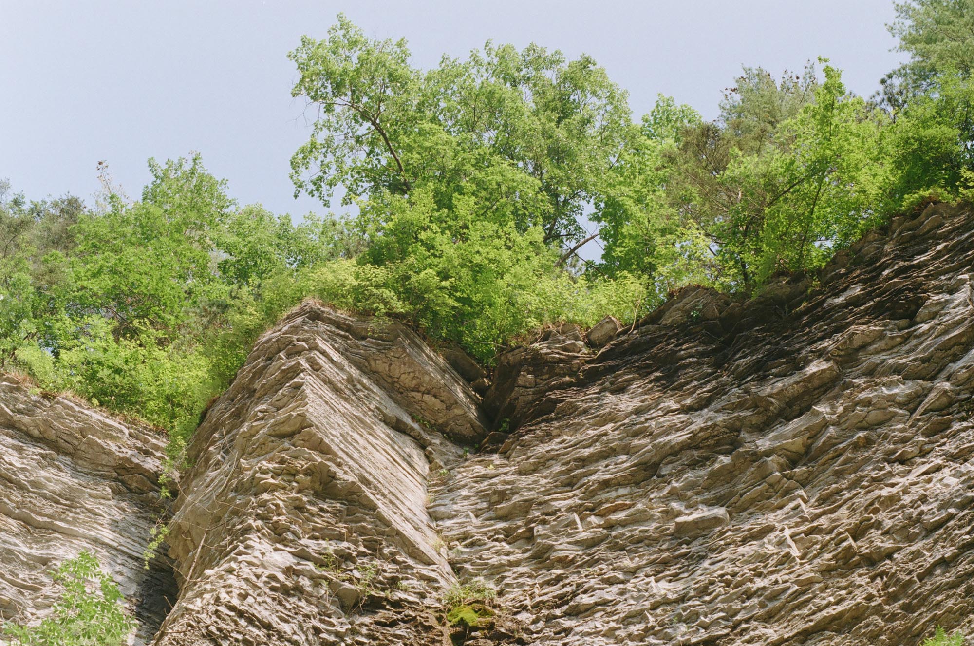 A rocky cliff with trees above