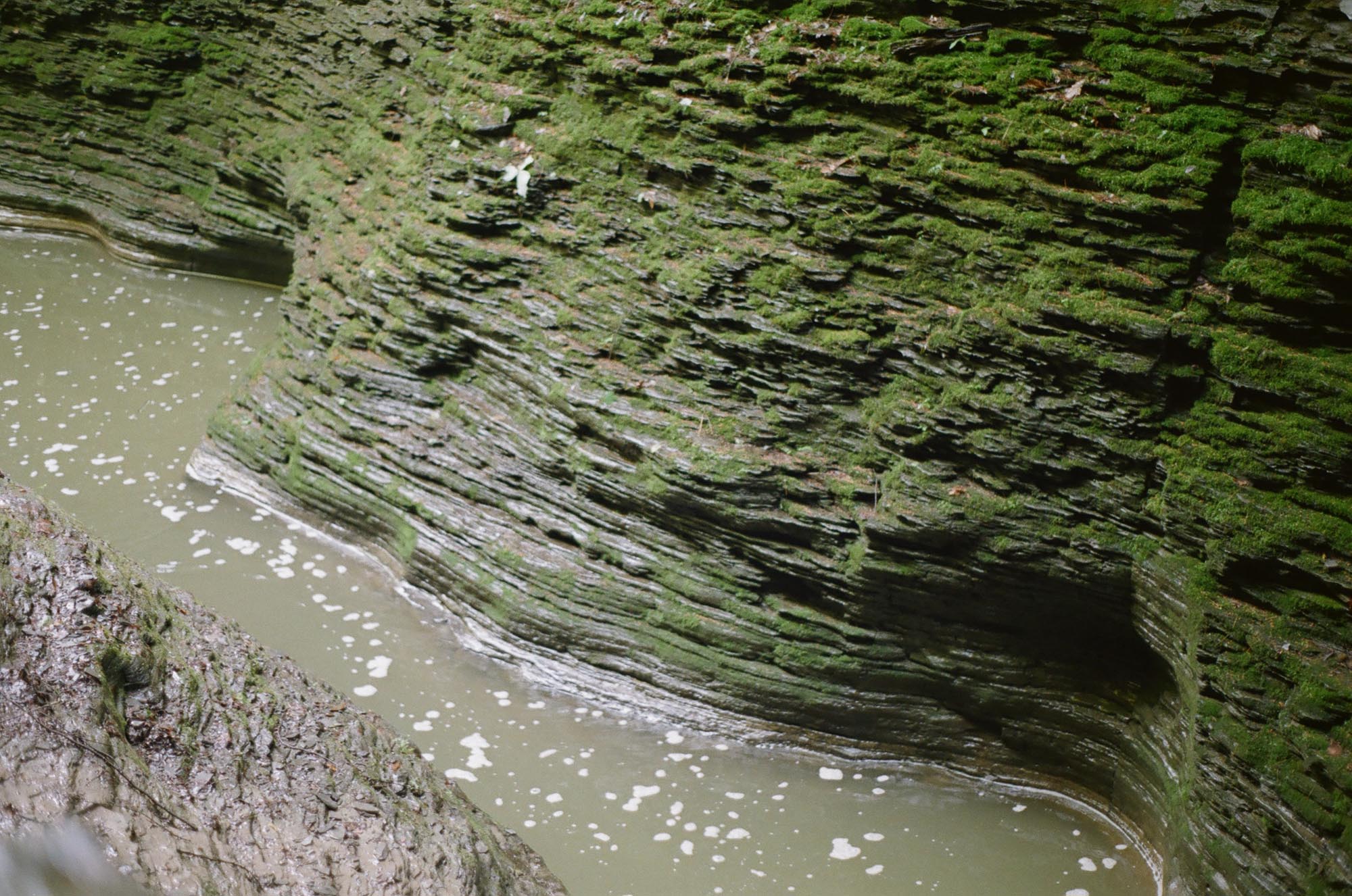 The river bottom with ridges of stone