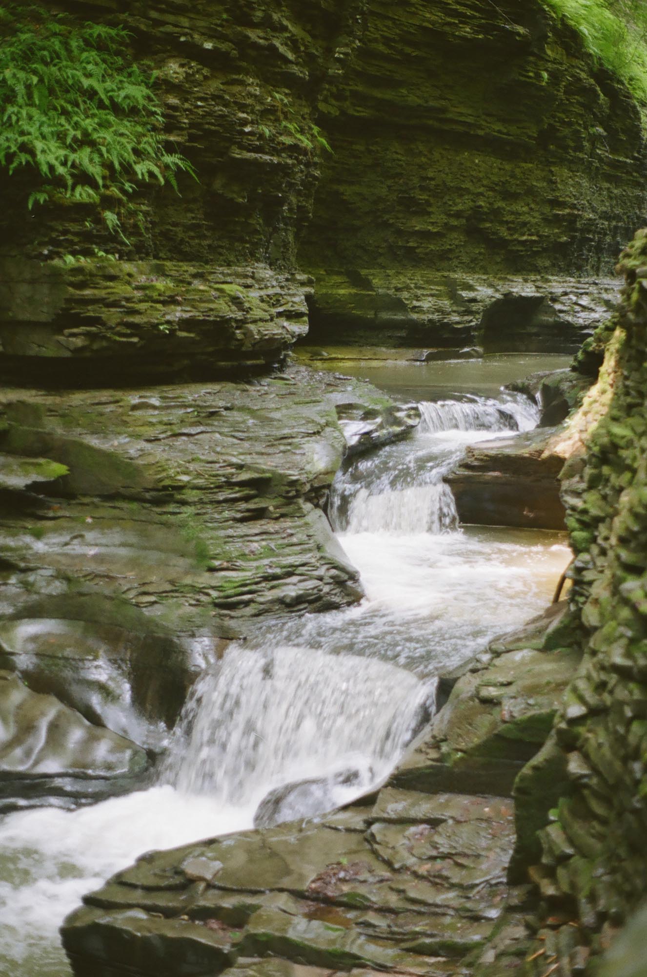 Cascading small waterfalls in the gorge