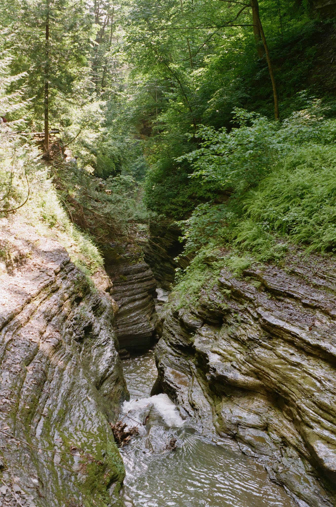 Cascading small waterfalls in the gorge from above