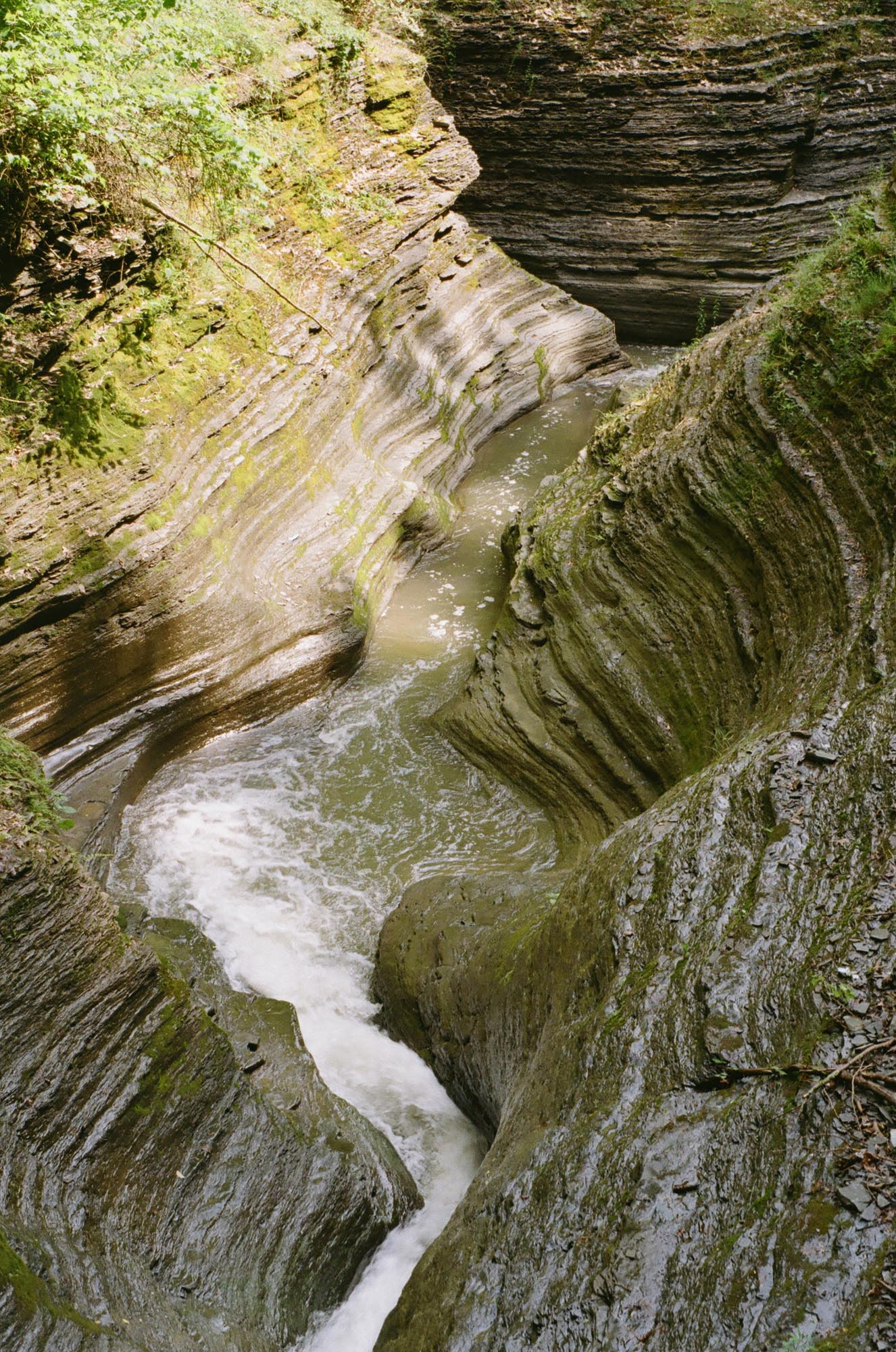 The river bottom with ridges of rock