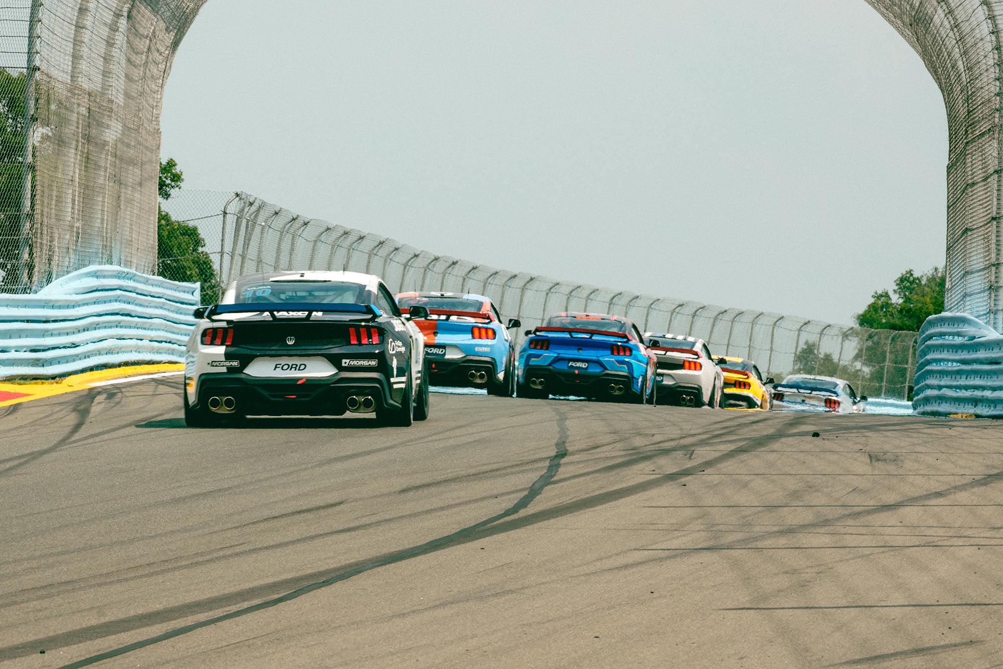 A fleet of Fort Mustang Dark Horses on track